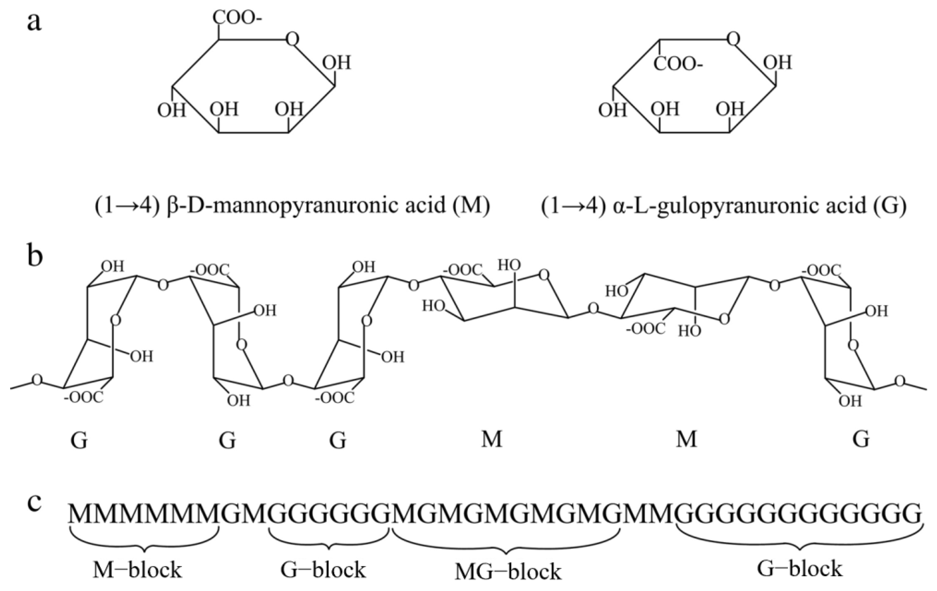 Membranes 13 00837 g003