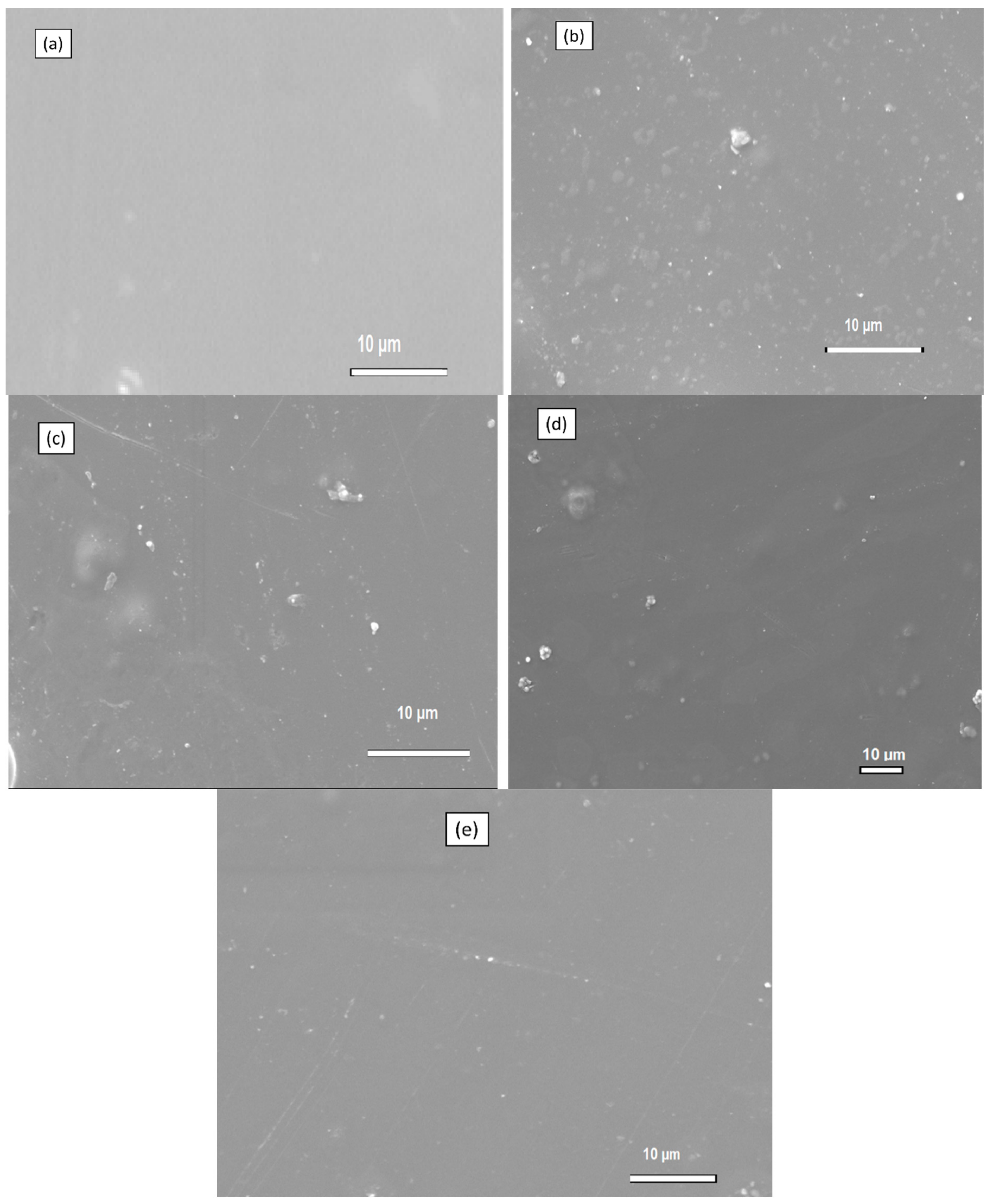 Membranes 13 00838 g005