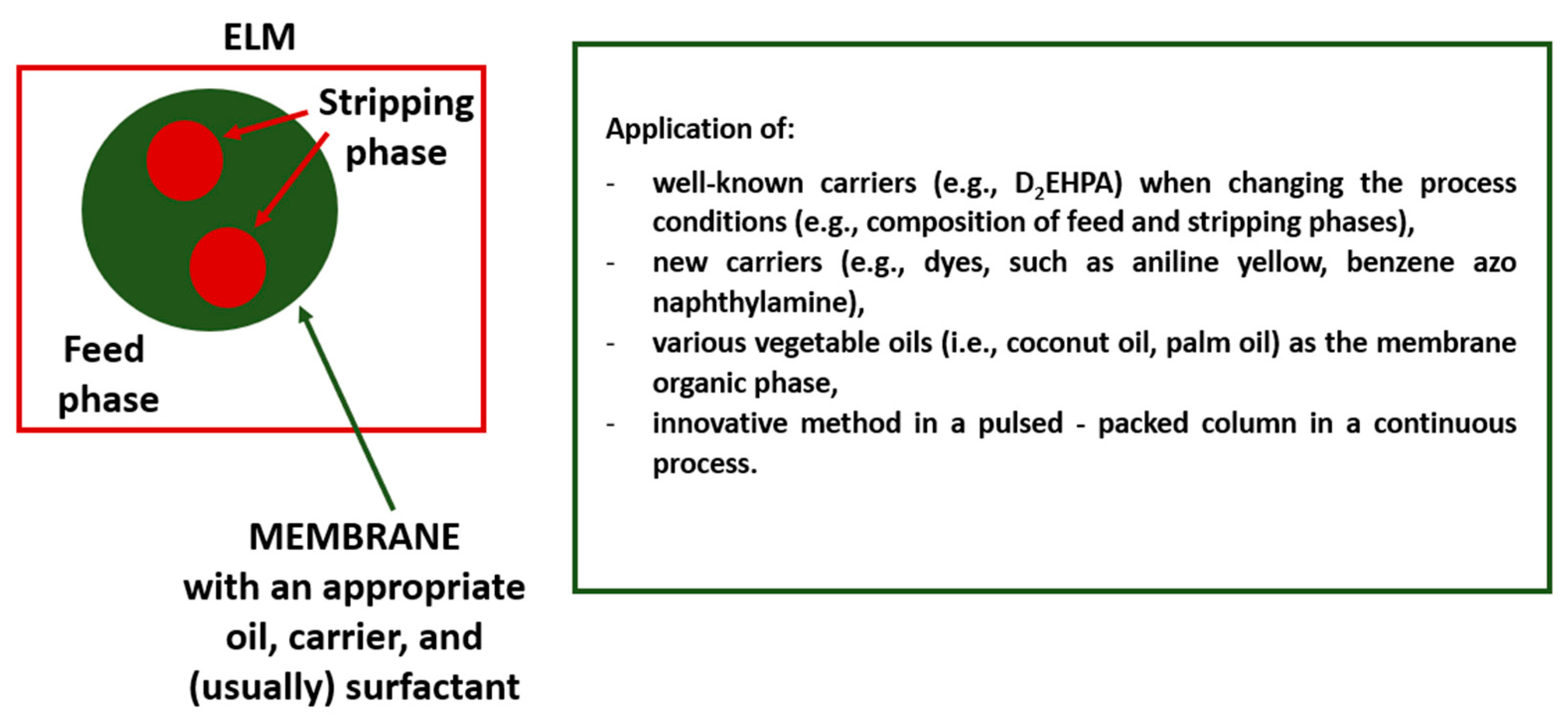 Membranes 13 00839 g002