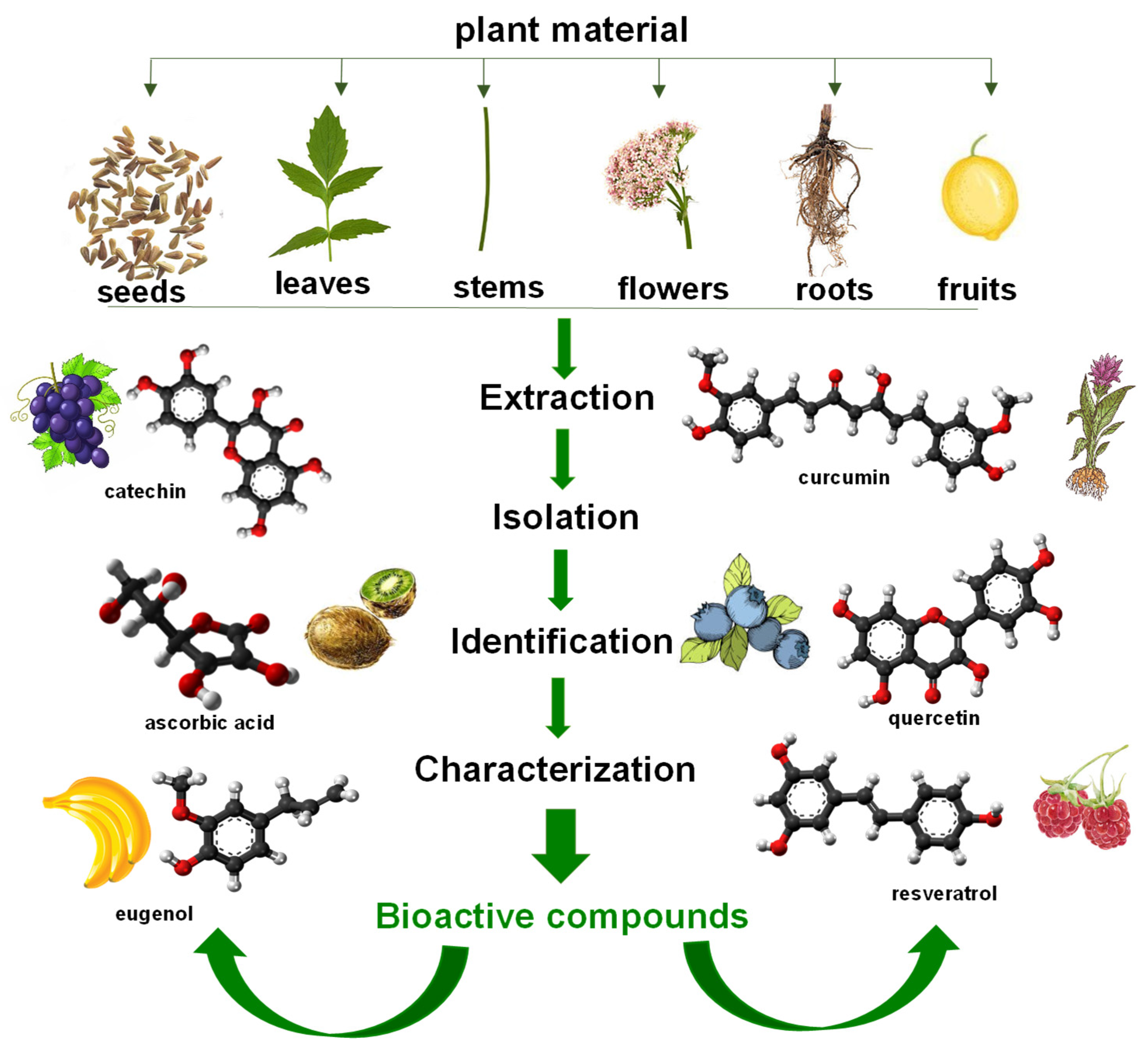 Membranes 13 00840 g001