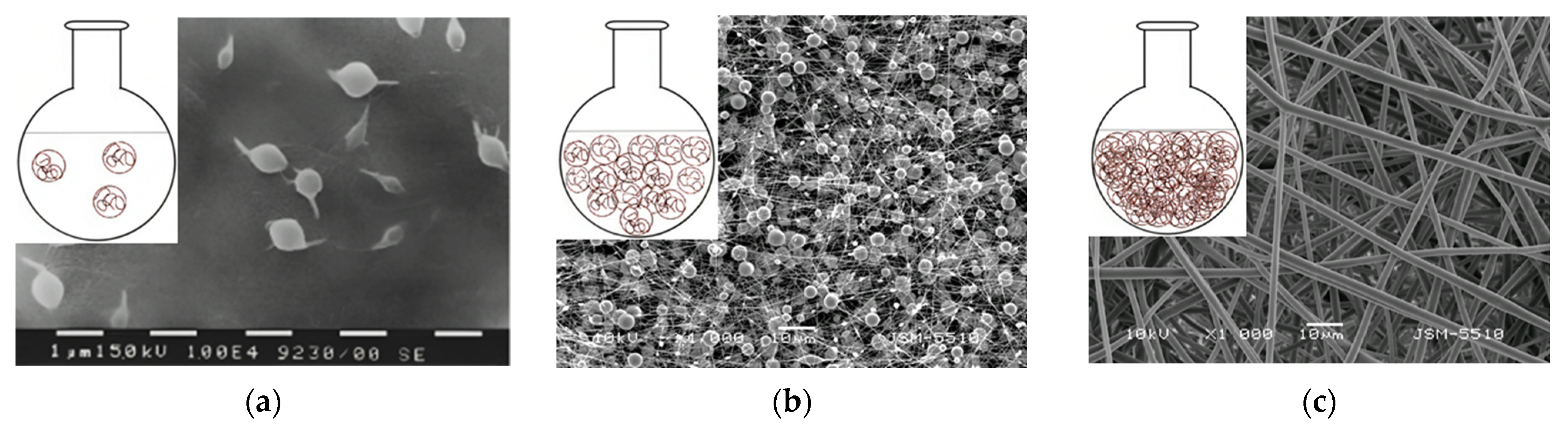 Membranes 13 00840 g004