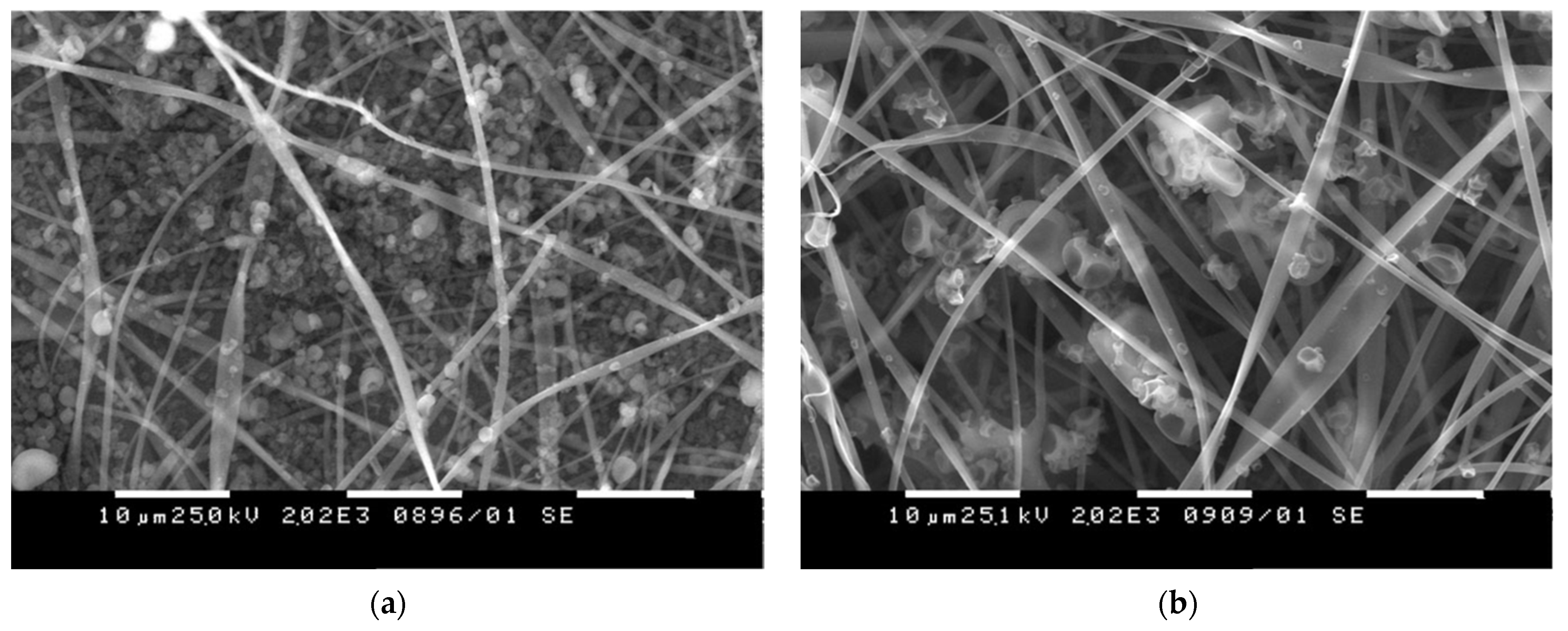 Membranes 13 00840 g005