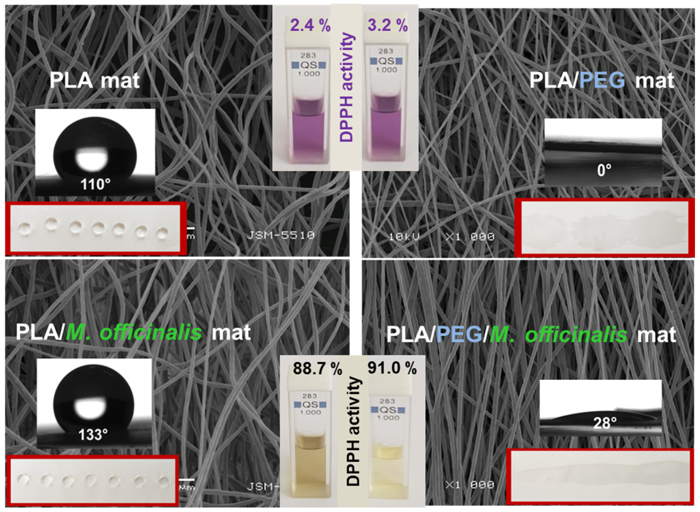 Membranes 13 00840 g006