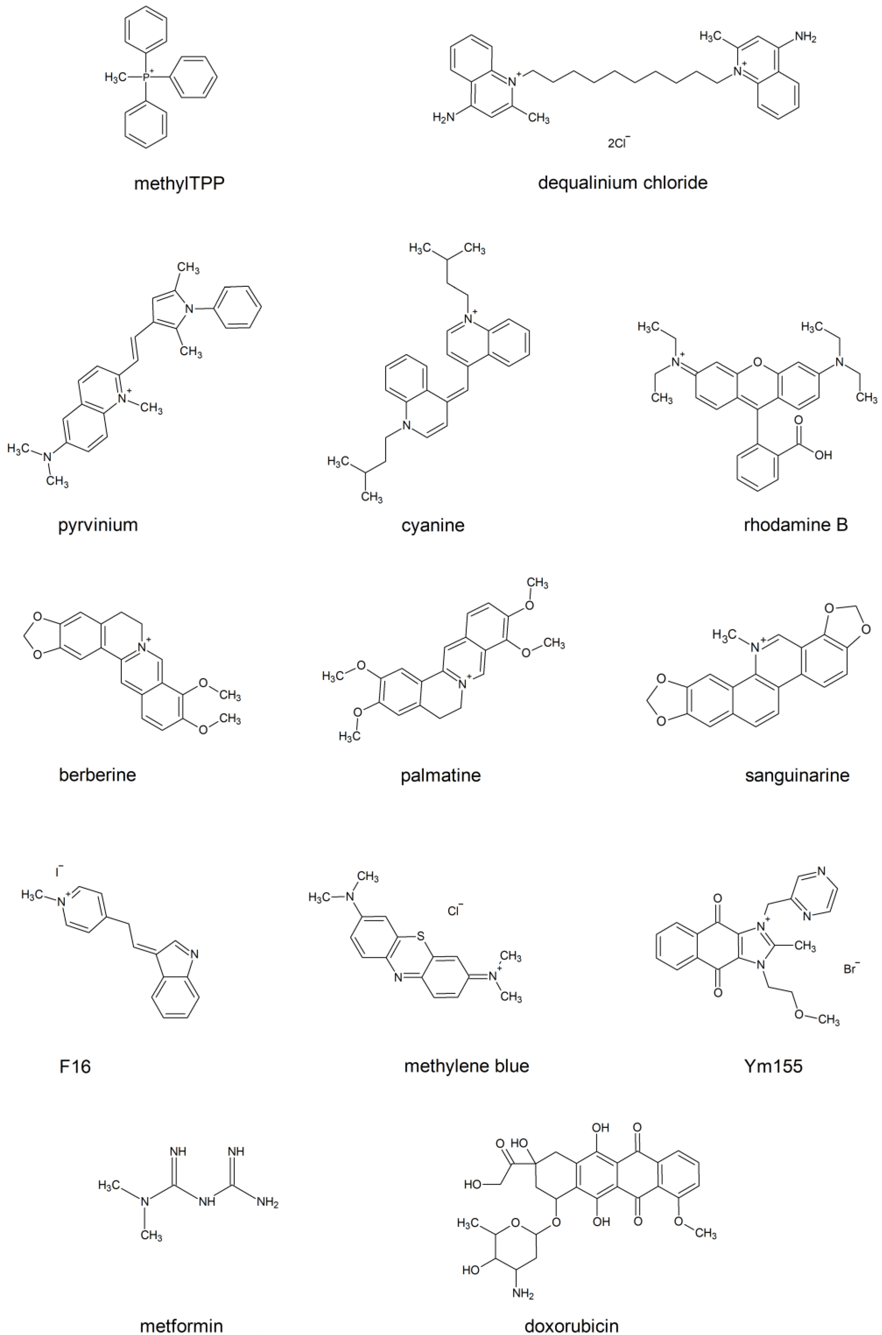 Membranes 13 00841 g001