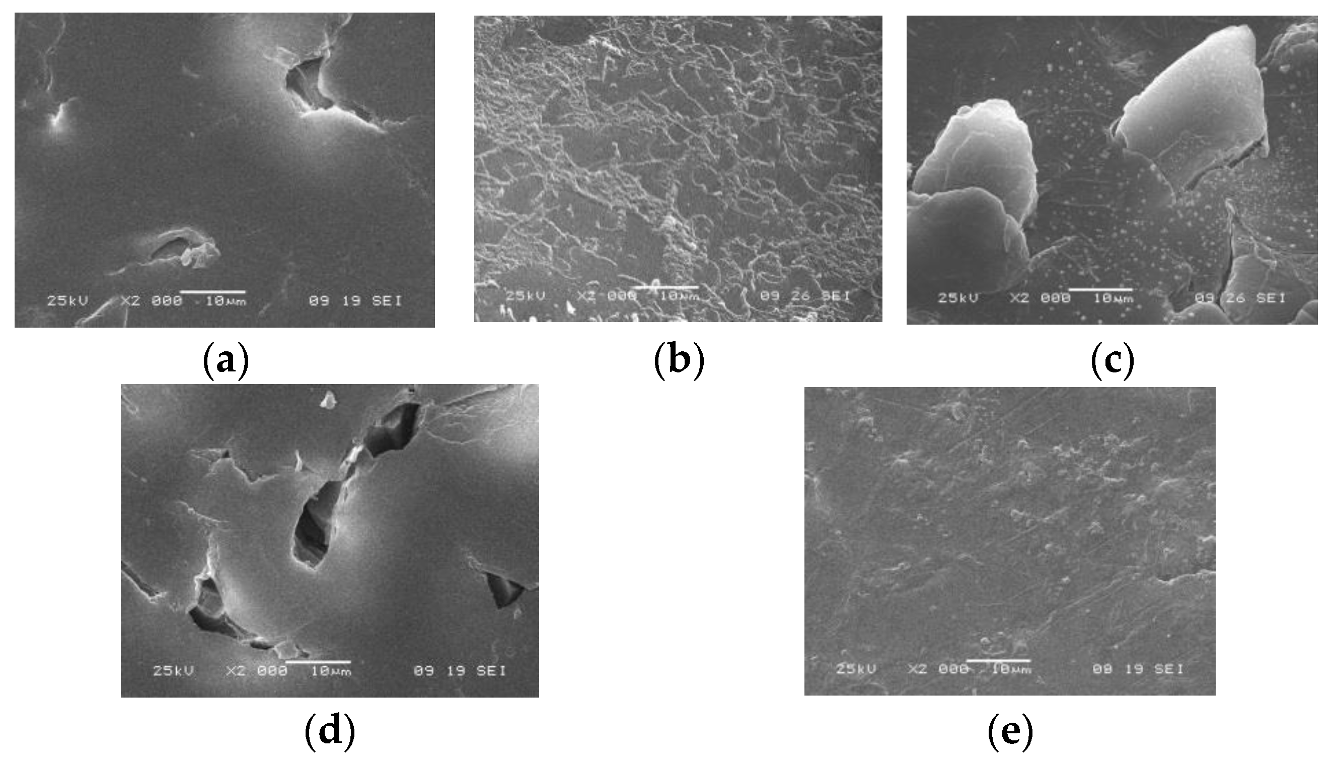 Membranes 13 00844 g003