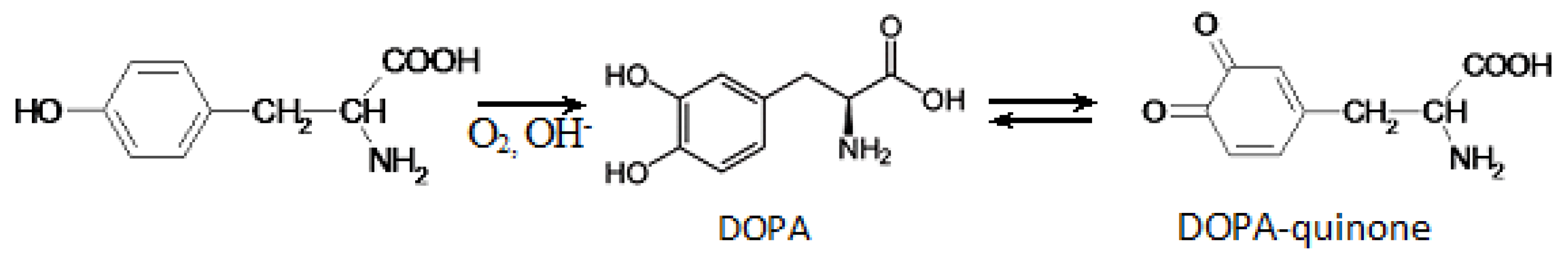 Membranes 13 00844 g009