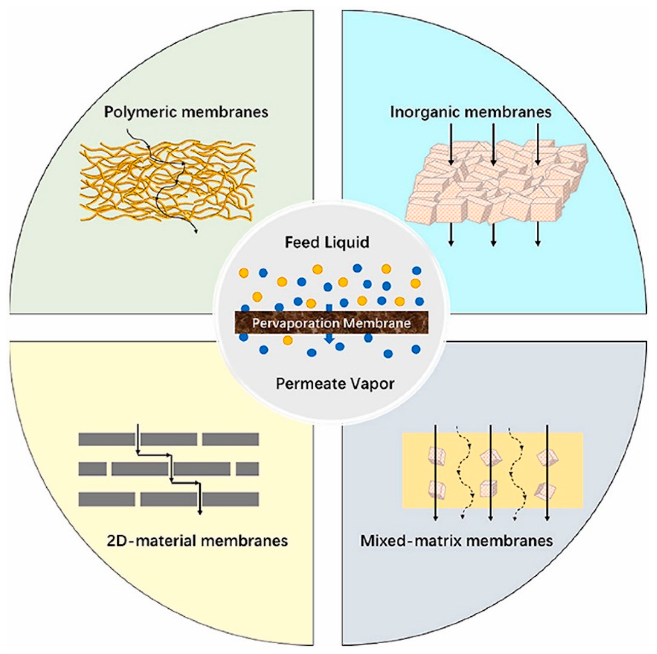 Membranes 13 00848 g002