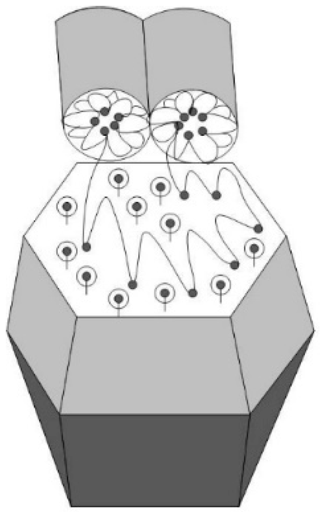 Membranes 13 00850 g019