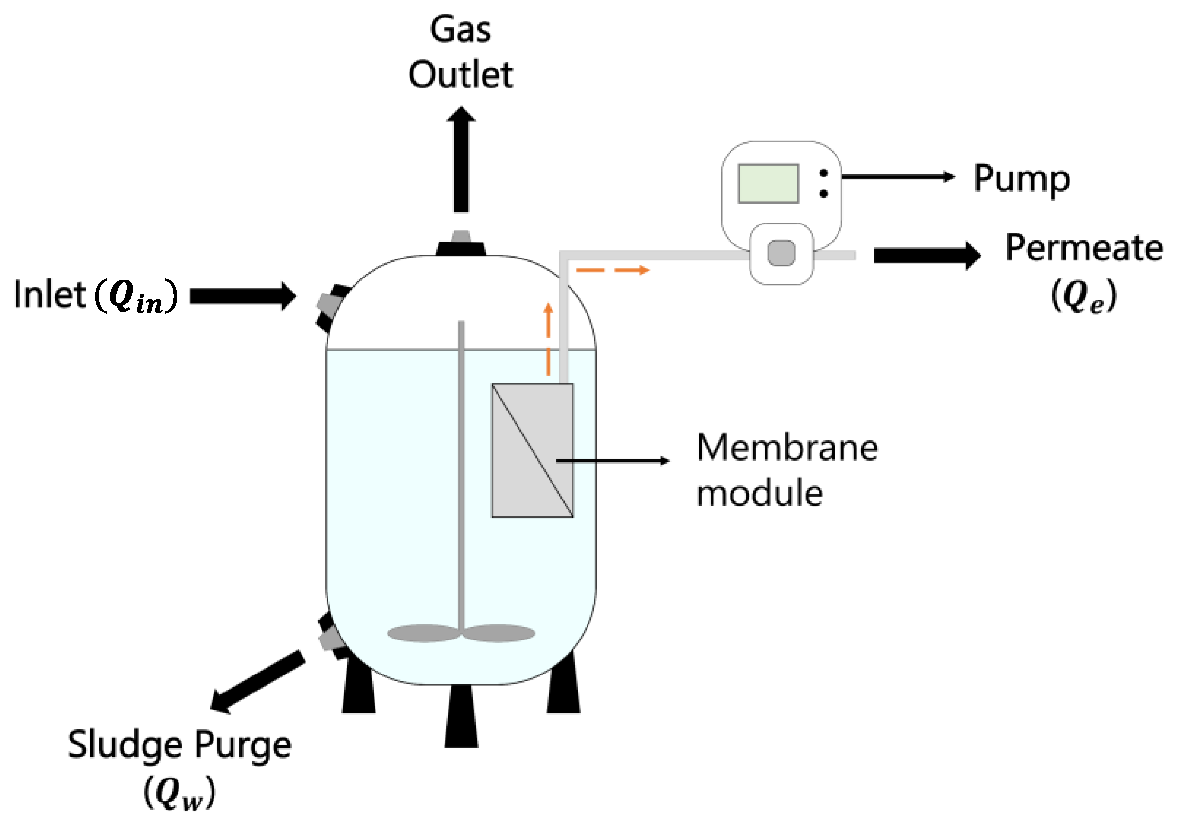 Membranes 13 00852 g001