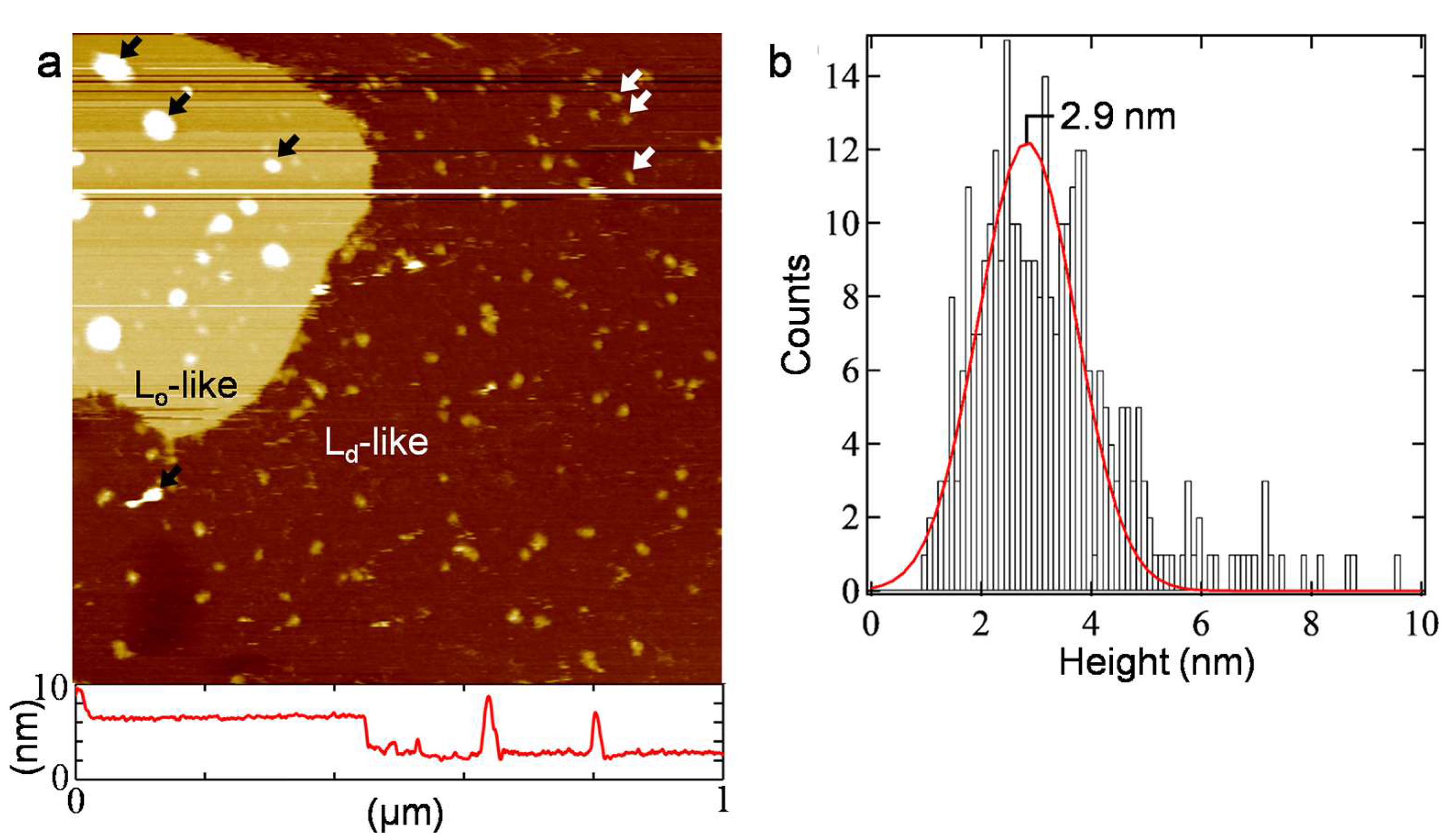 Membranes 13 00854 g003