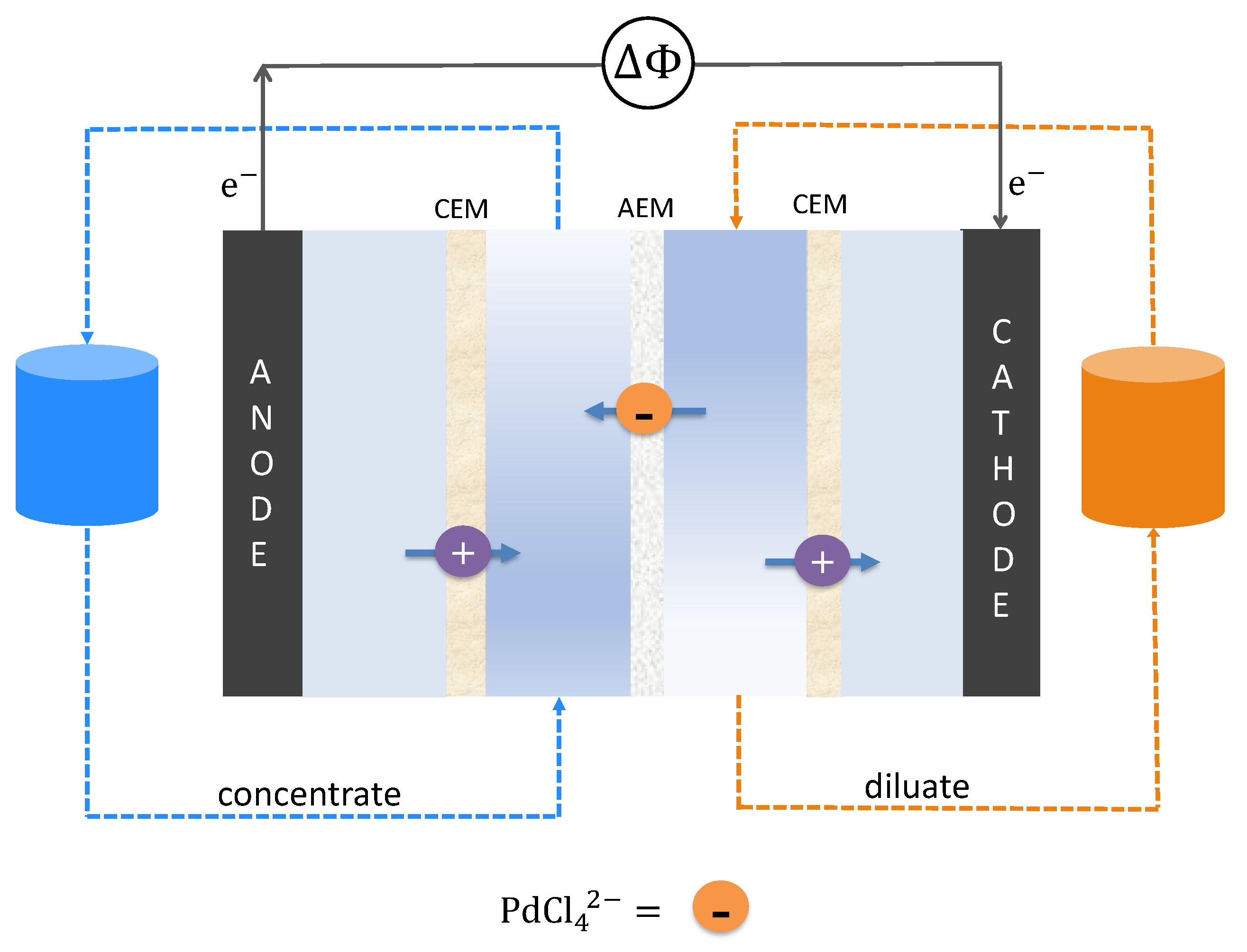 Membranes 13 00859 g002