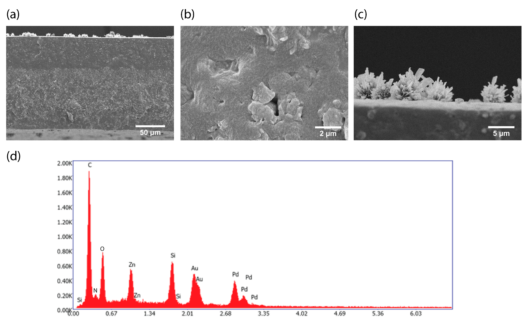 Membranes 13 00863 g003