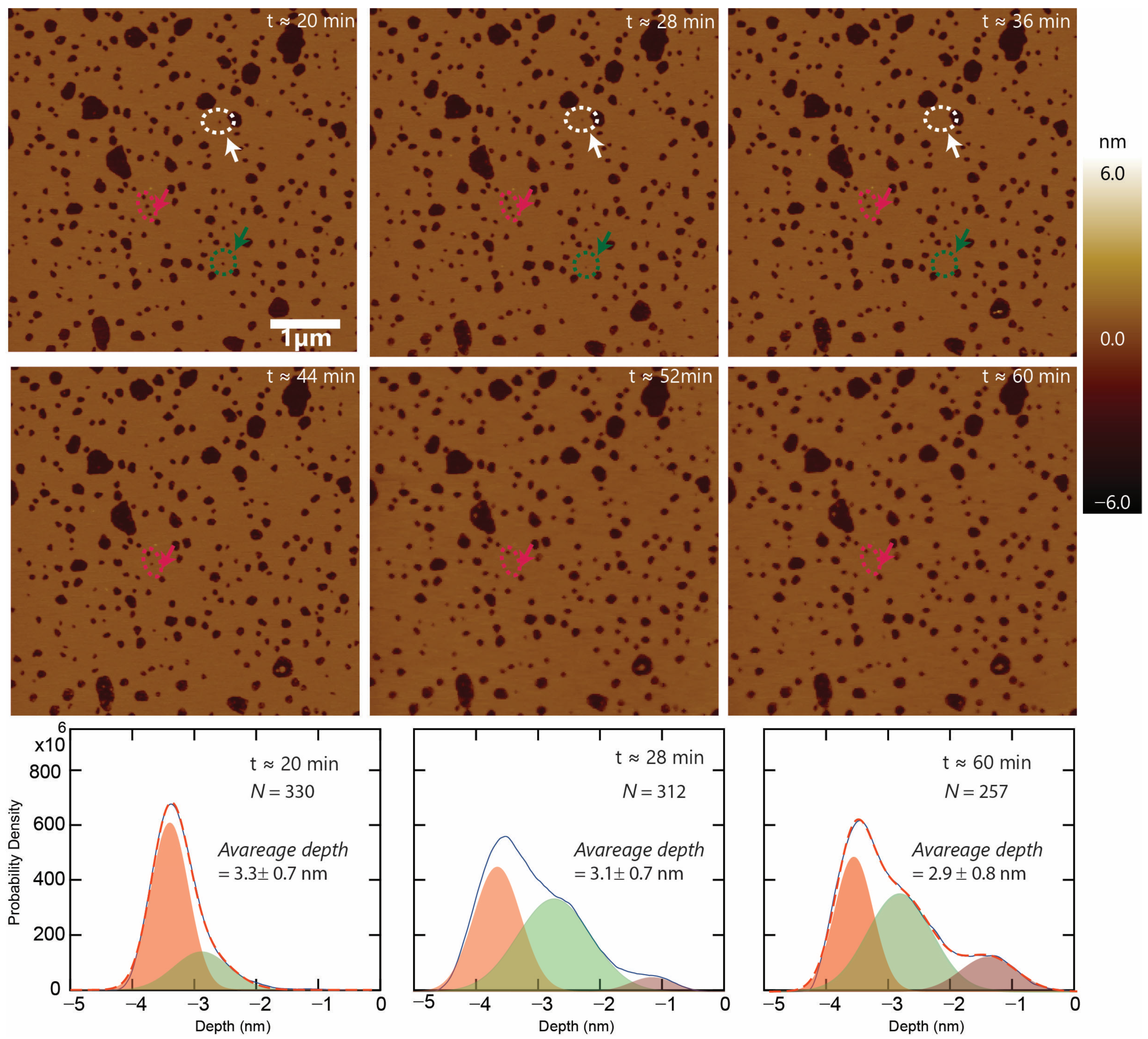 Membranes 13 00864 g006