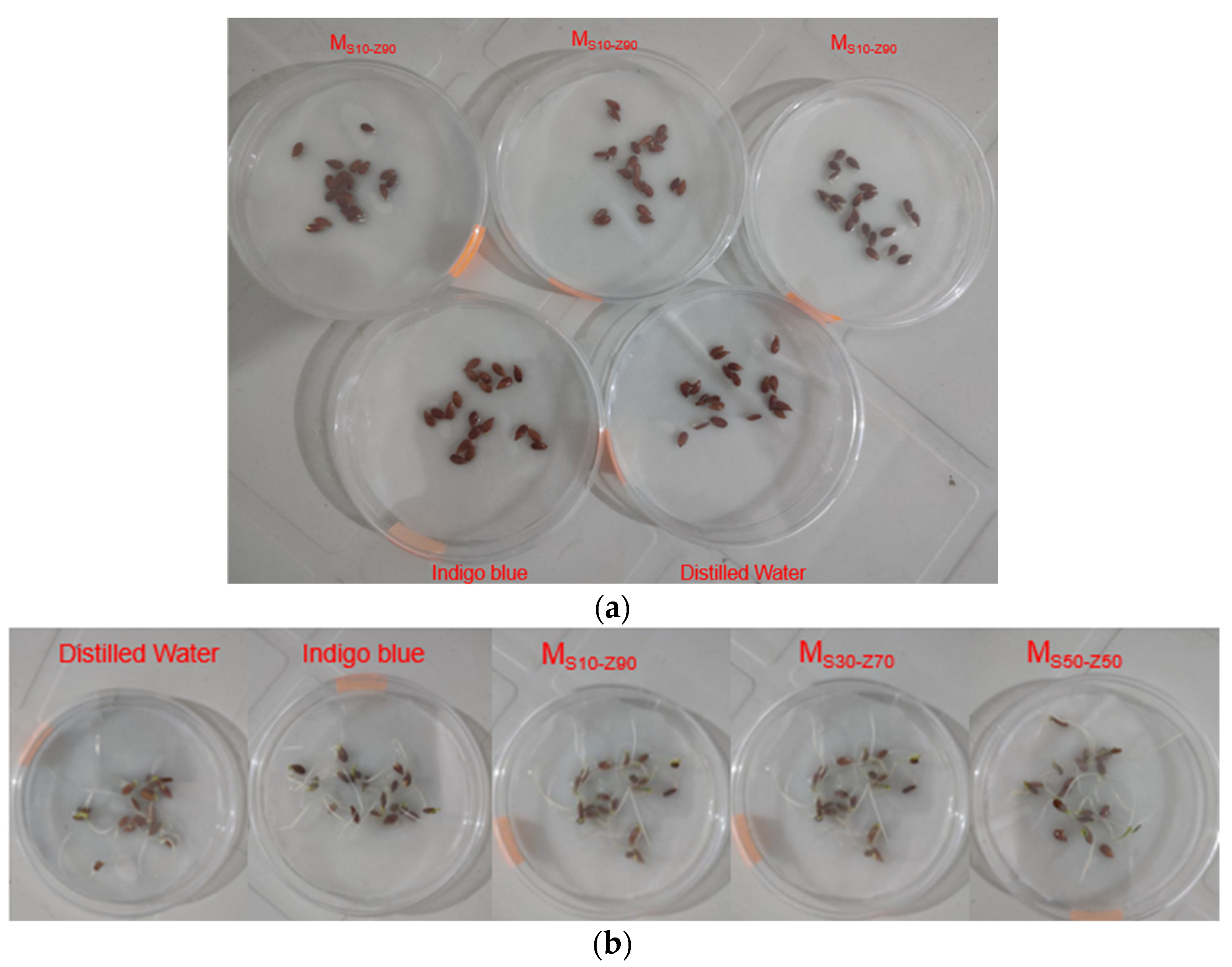 Membranes 13 00865 g010
