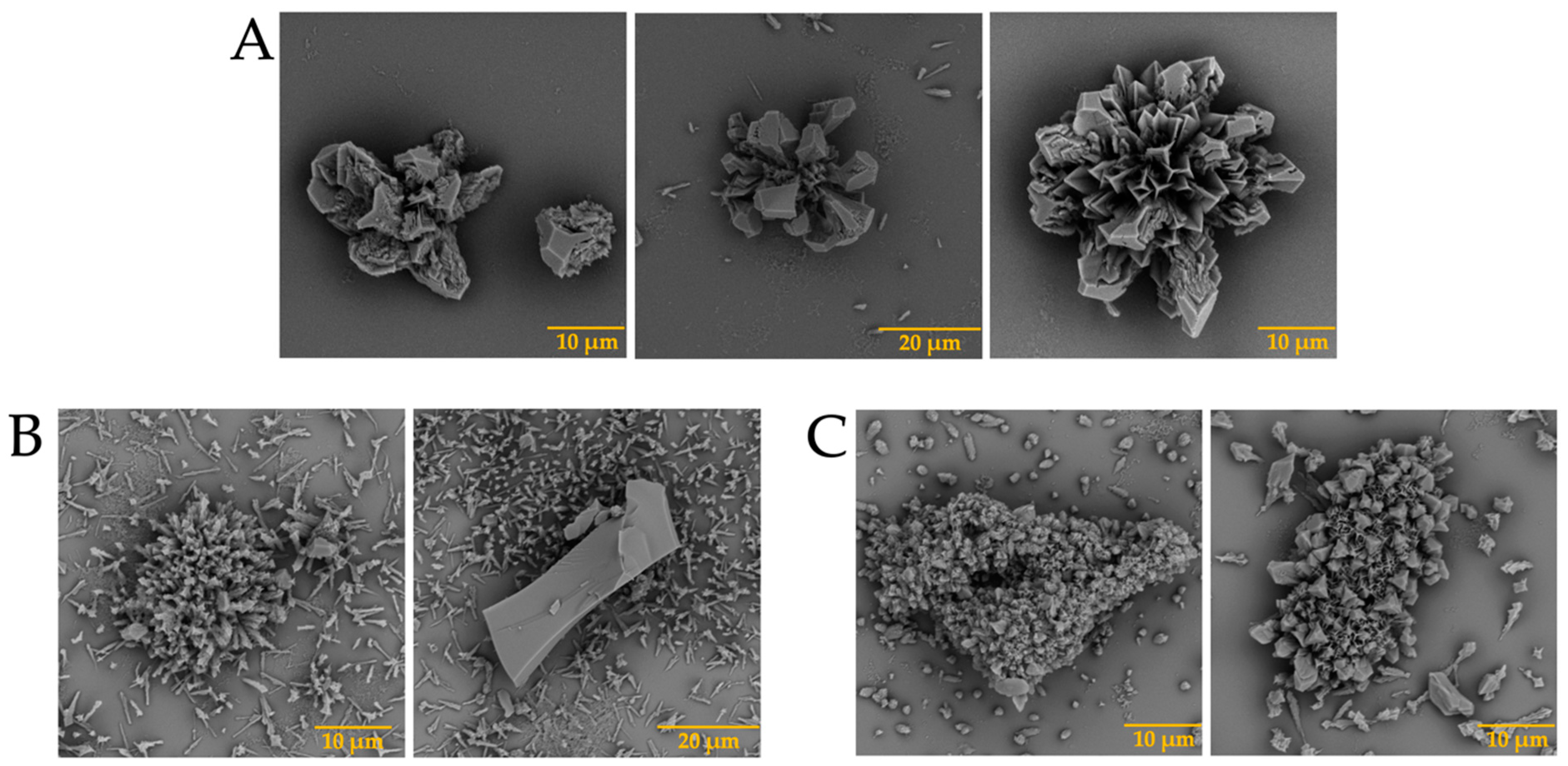 Membranes 13 00869 g003a Membranes 13 00869 g003a