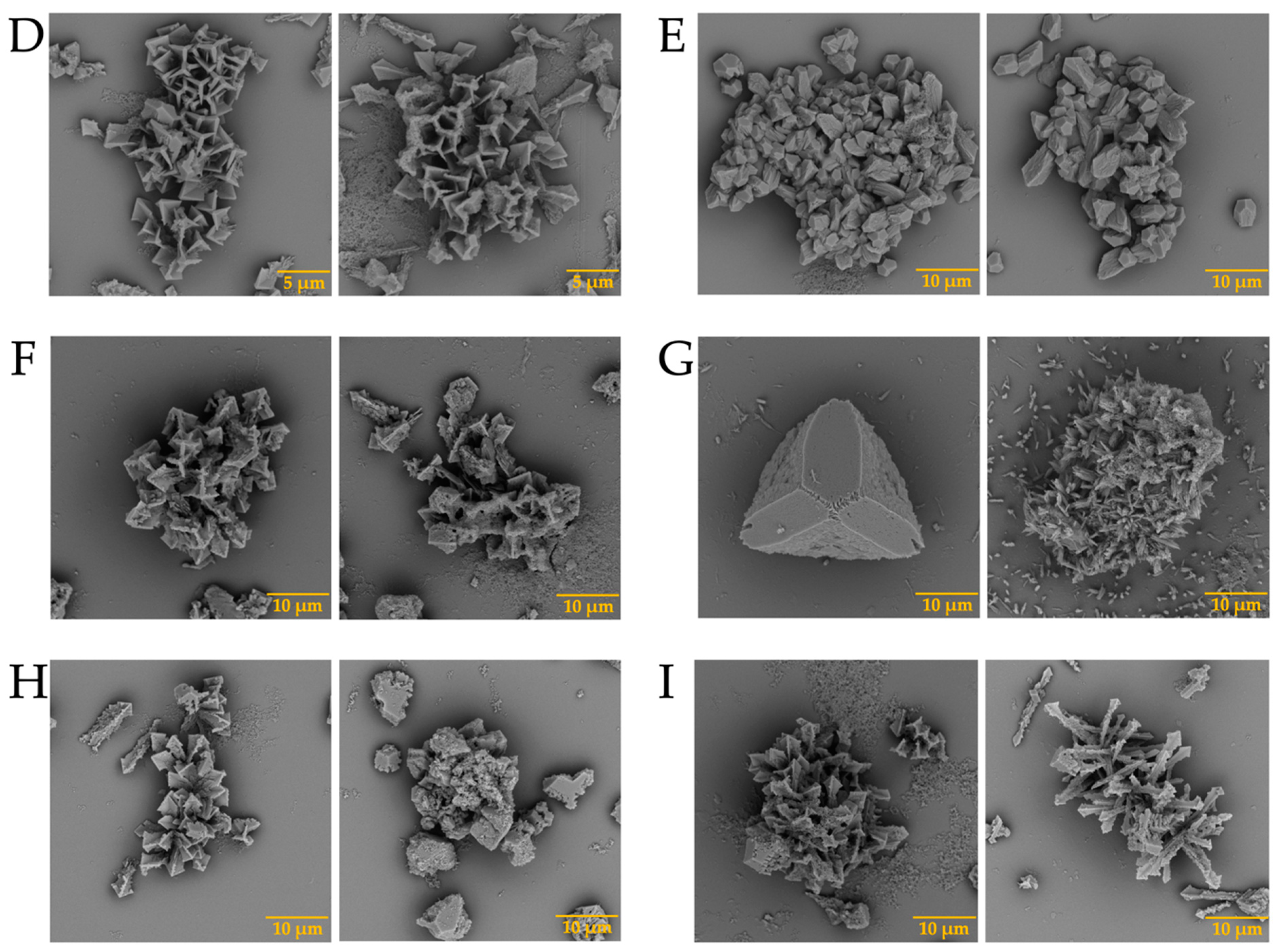 Membranes 13 00869 g003b Membranes 13 00869 g003b