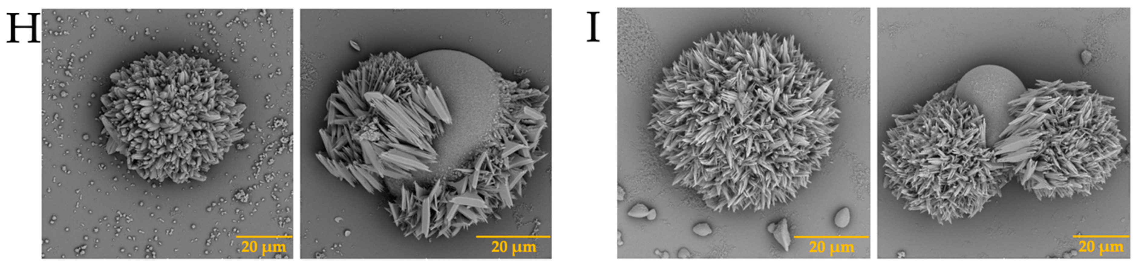 Membranes 13 00869 g005b Membranes 13 00869 g005b
