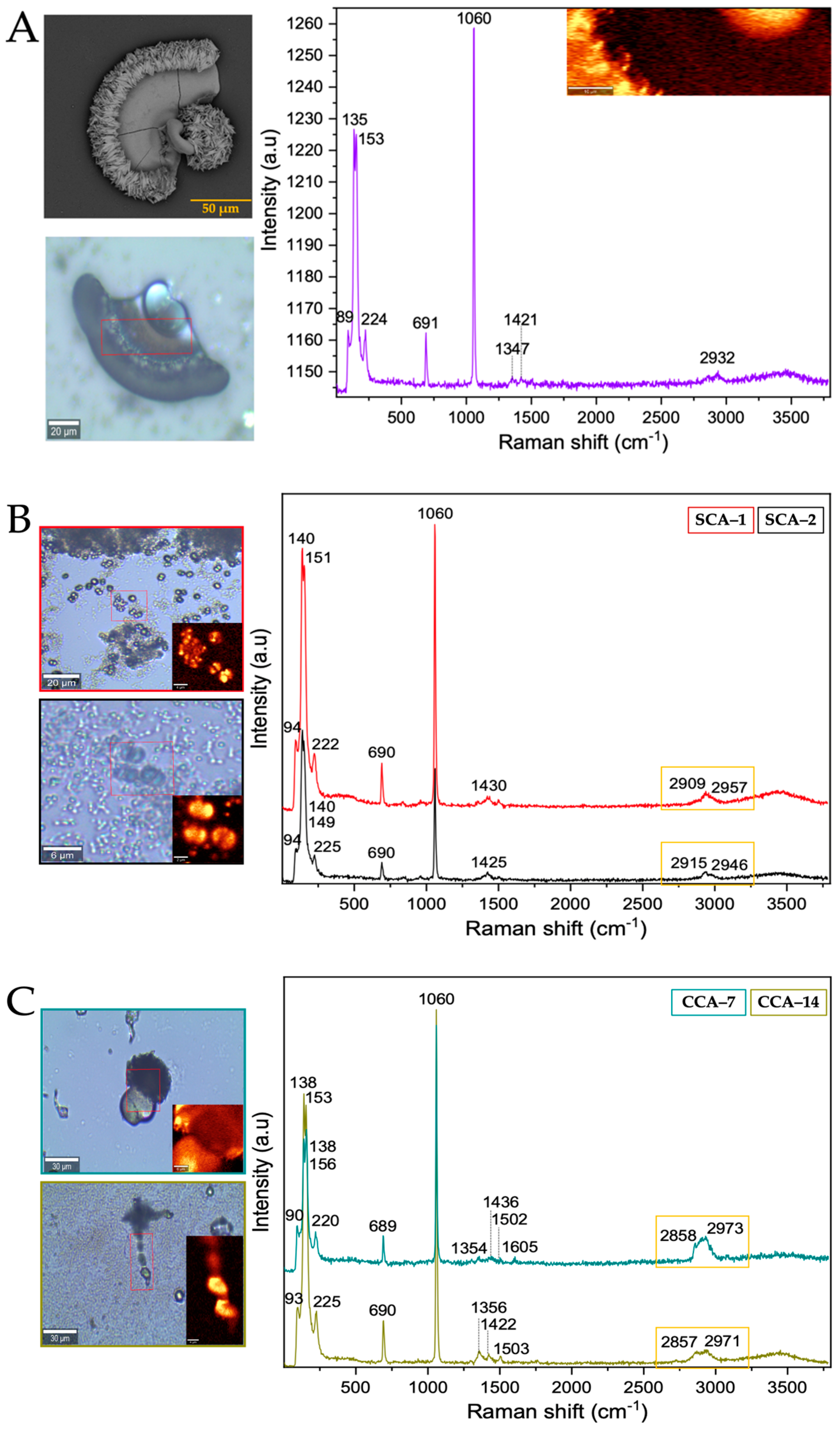 Membranes 13 00869 g006 Membranes 13 00869 g006