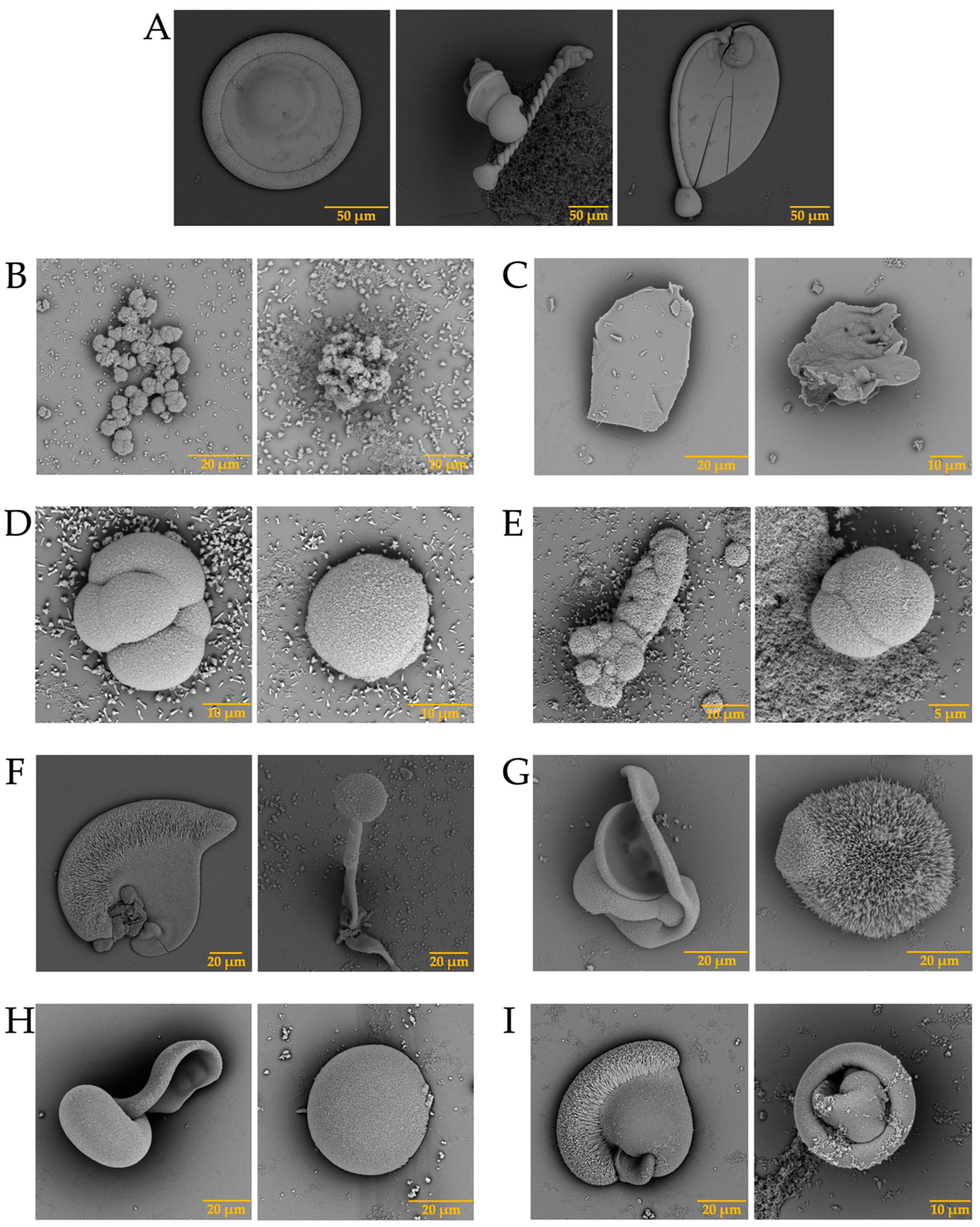 Membranes 13 00869 g007 Membranes 13 00869 g007