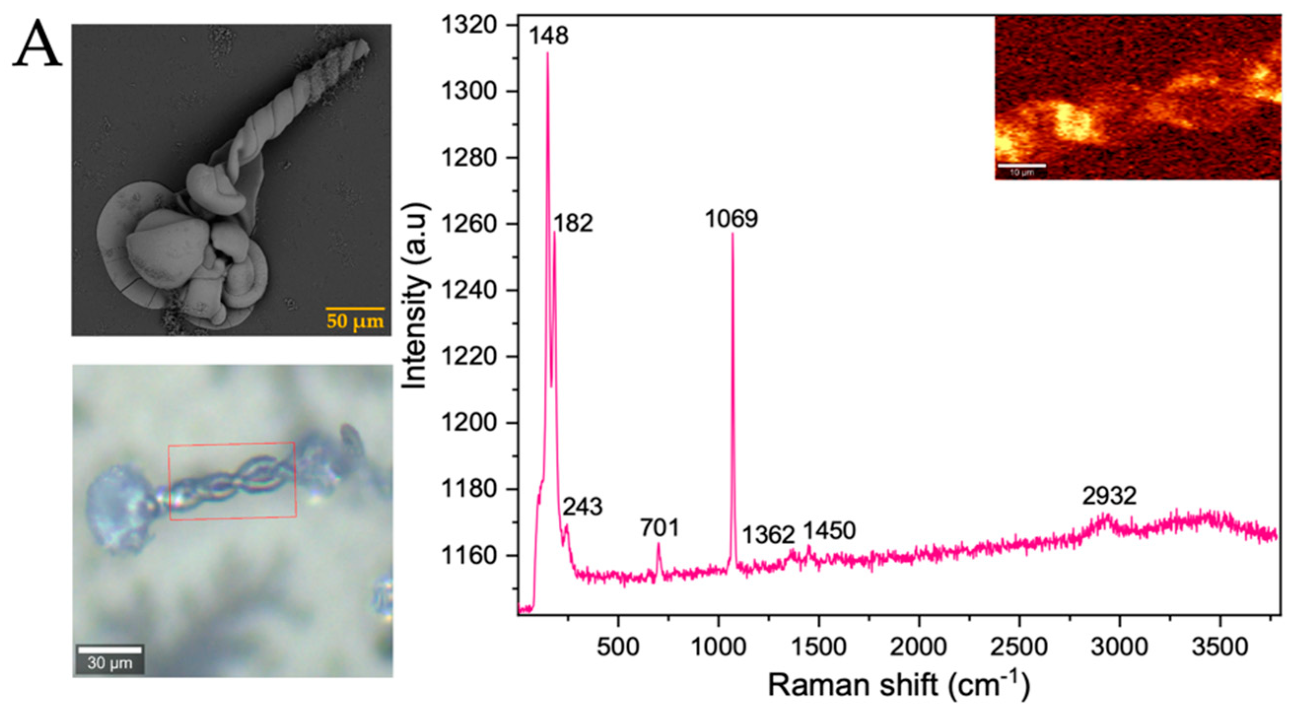 Membranes 13 00869 g008a Membranes 13 00869 g008a