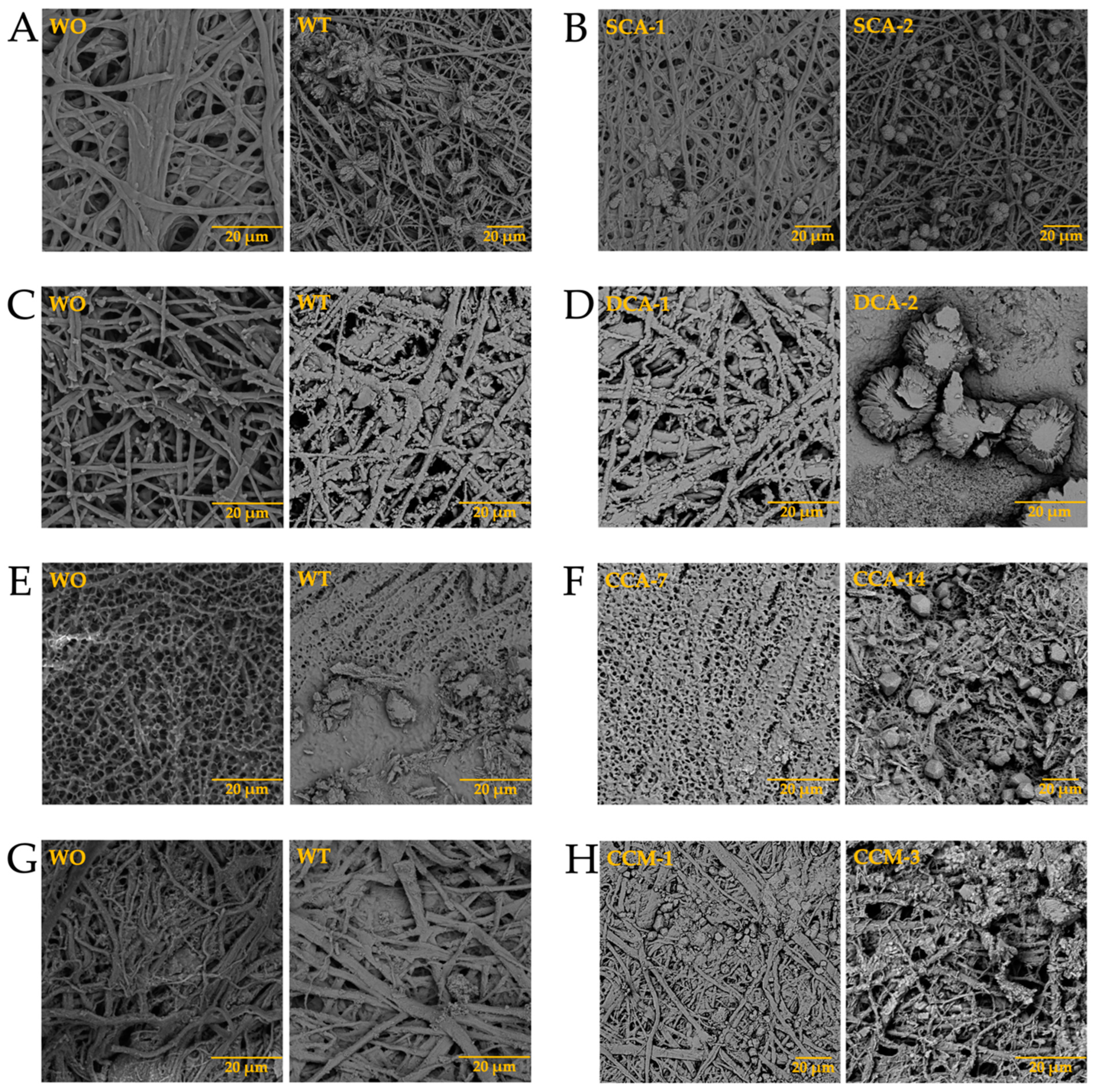 Membranes 13 00869 g010 Membranes 13 00869 g010