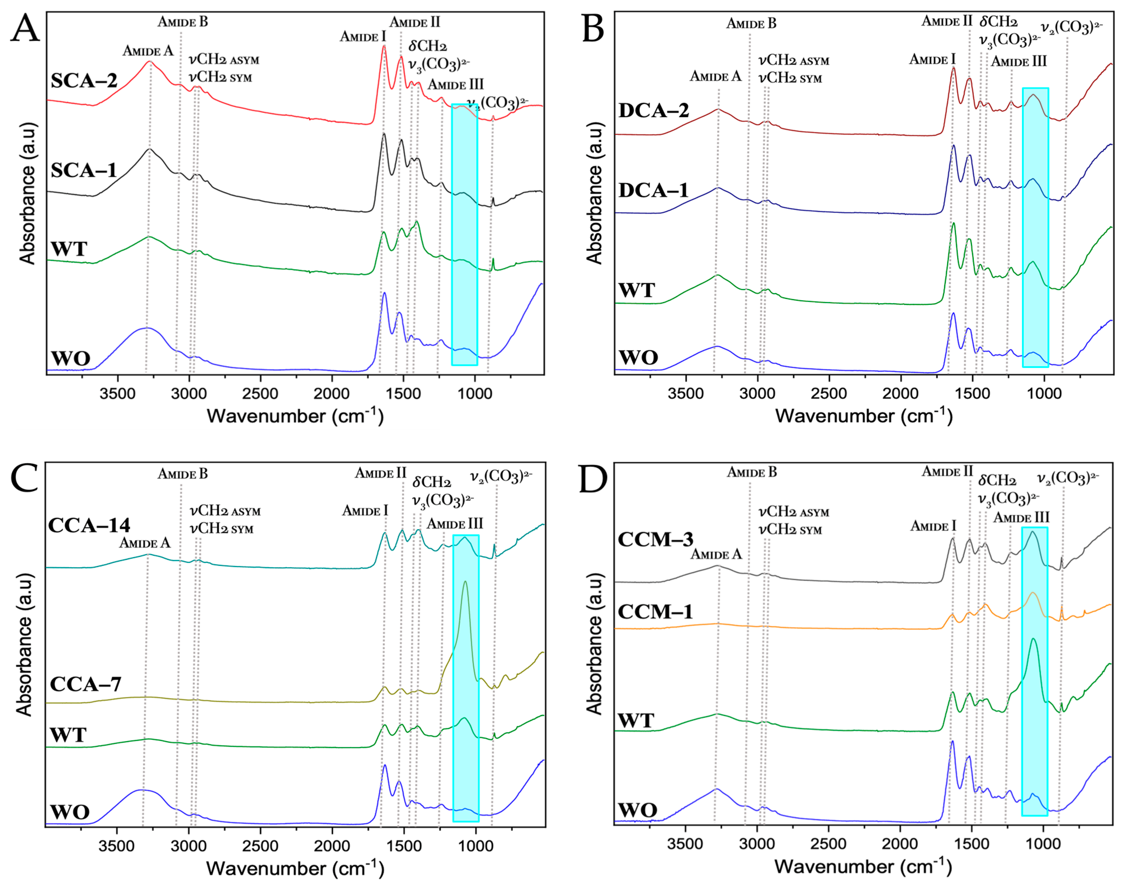 Membranes 13 00869 g011 Membranes 13 00869 g011