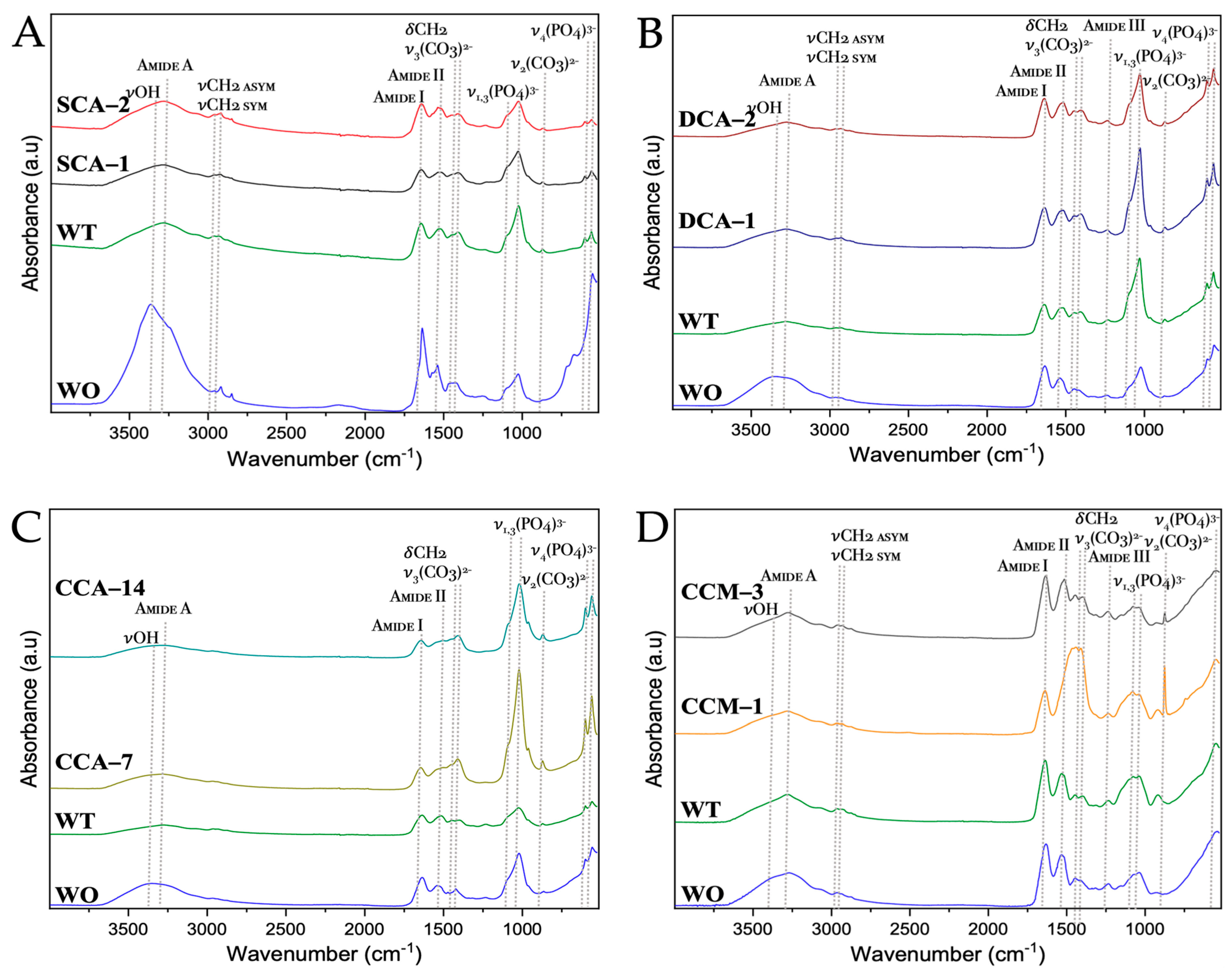 Membranes 13 00869 g013 Membranes 13 00869 g013