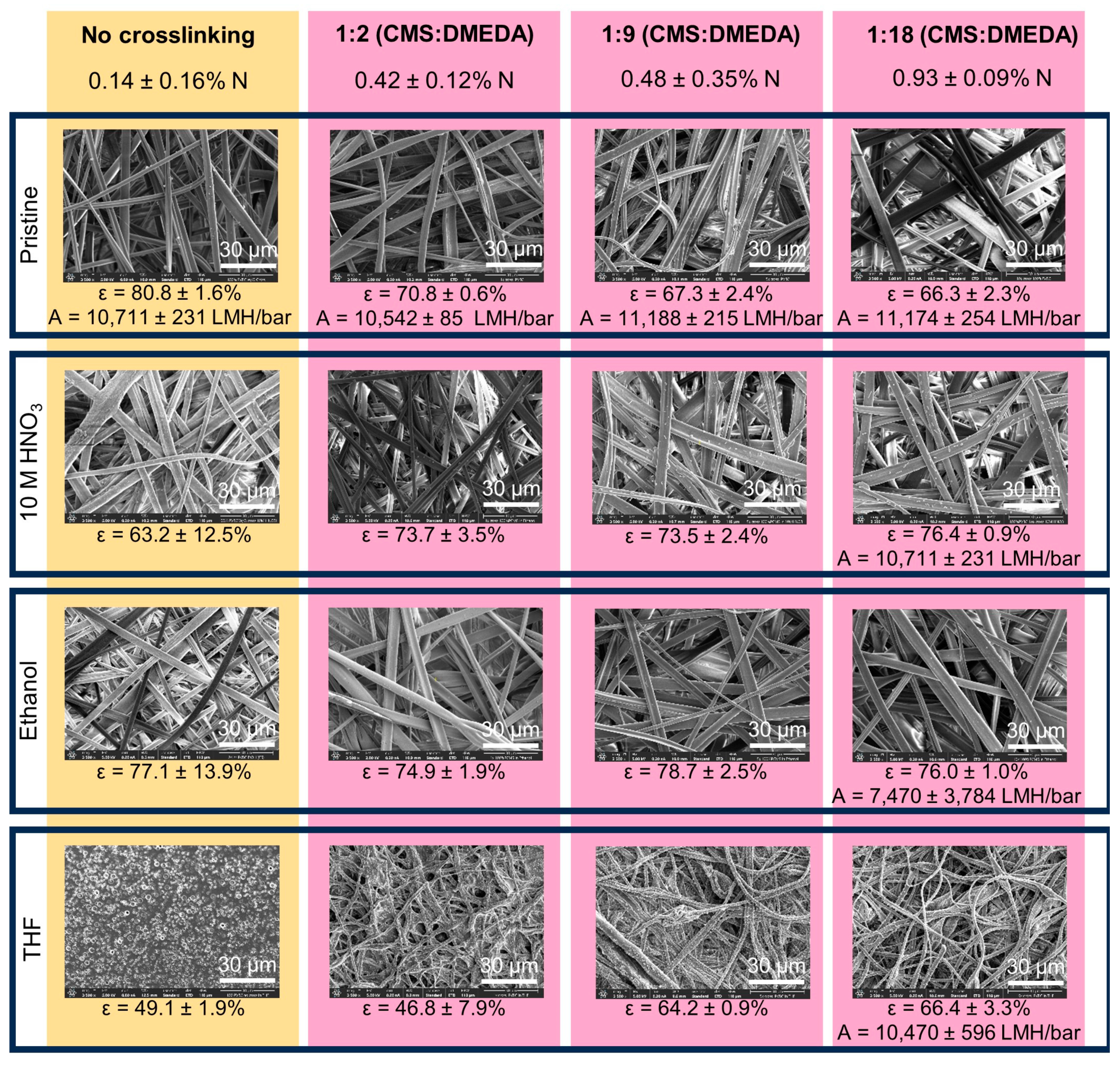 Membranes 13 00870 g003