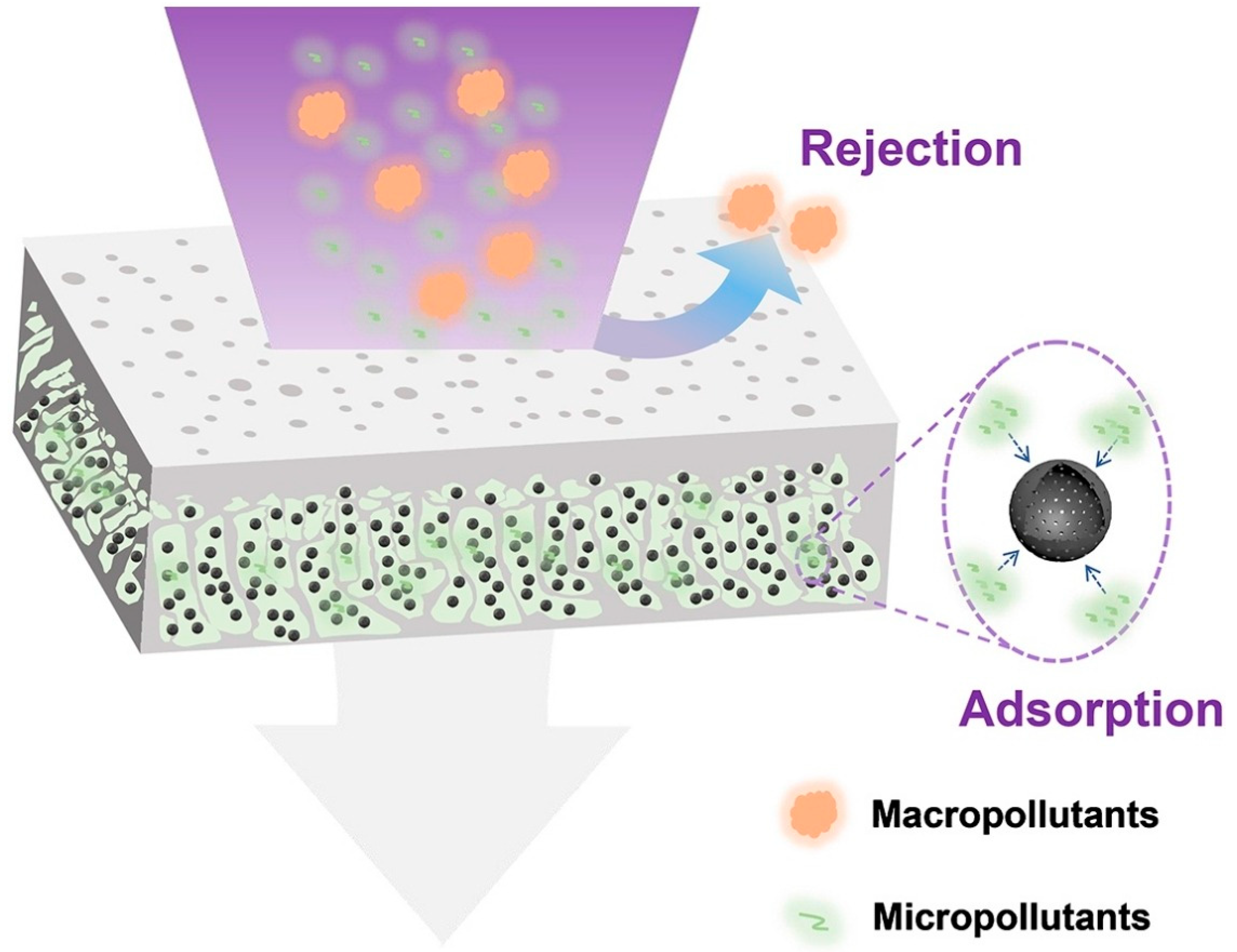 Membranes 13 00874 g004 Membranes 13 00874 g004