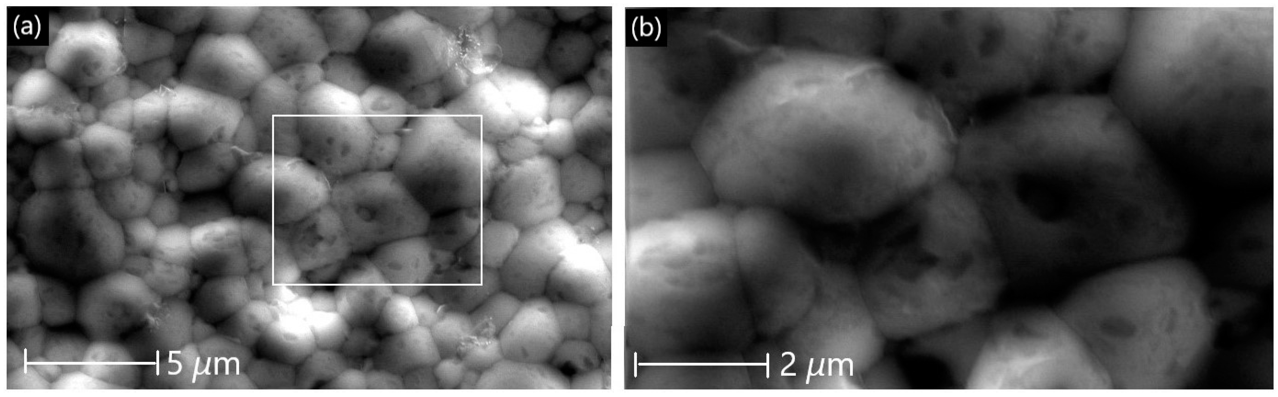 Membranes 13 00875 g009 Membranes 13 00875 g009