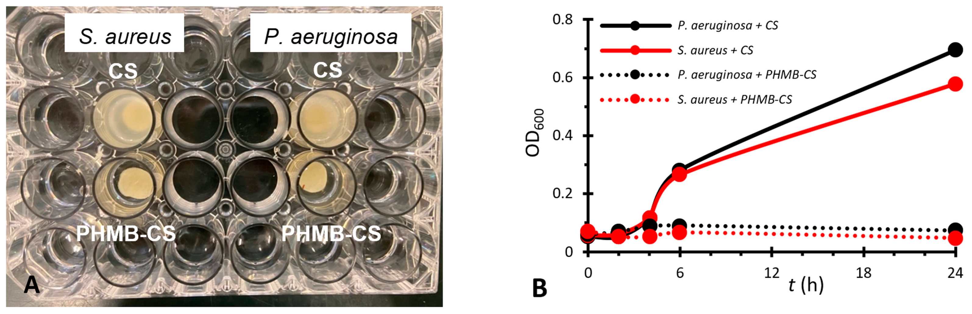 Membranes 13 00877 g008