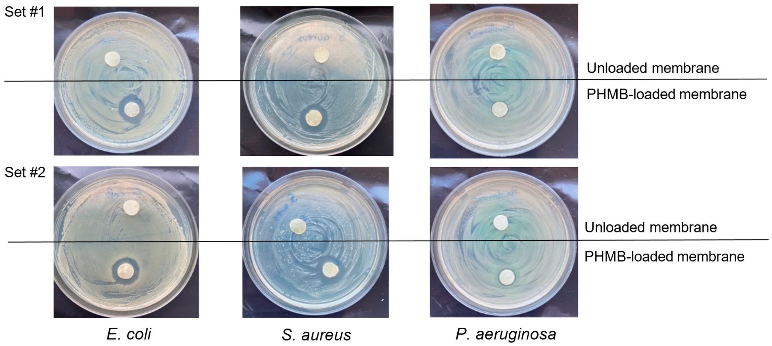 Membranes 13 00877 g009