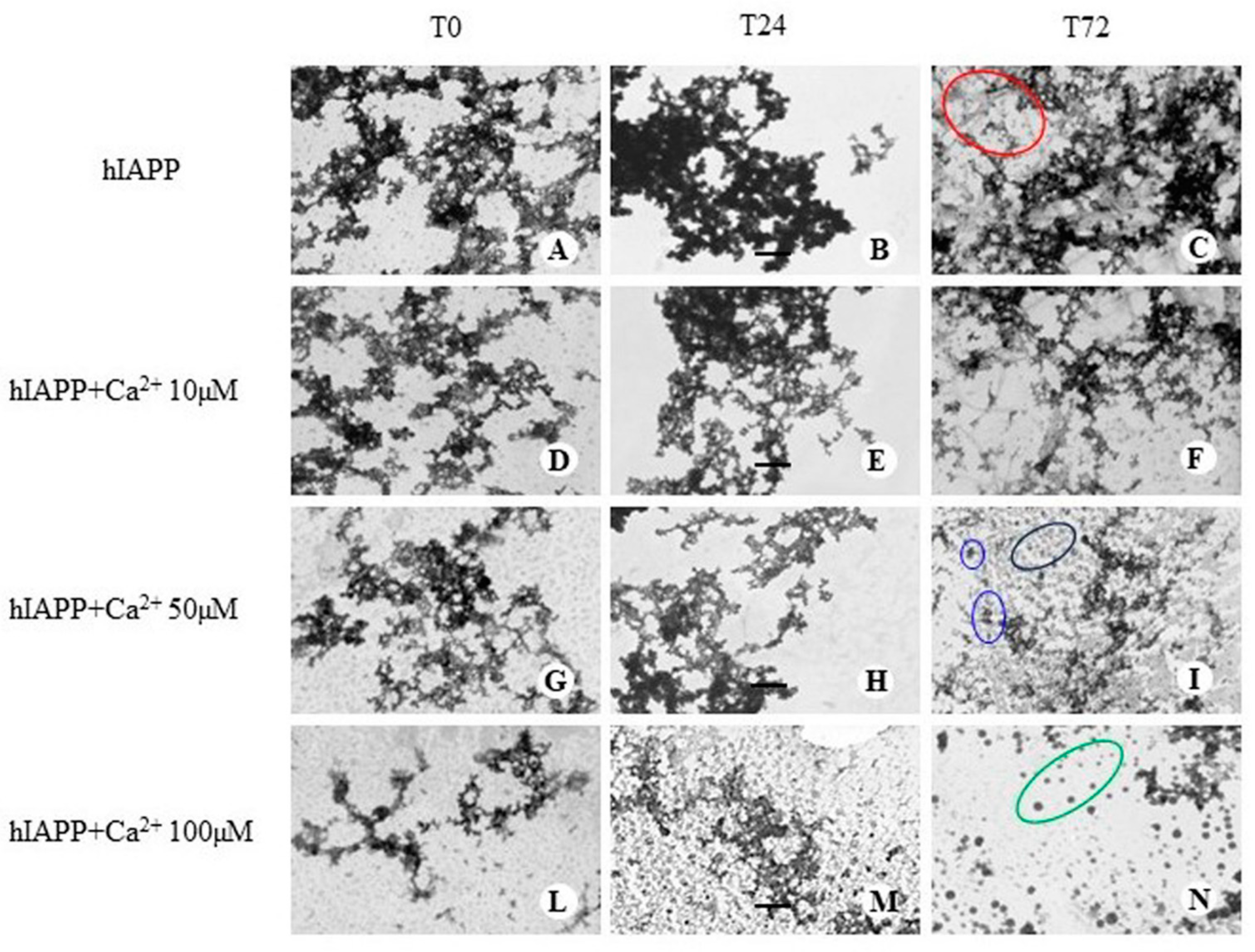 Membranes 13 00878 g005