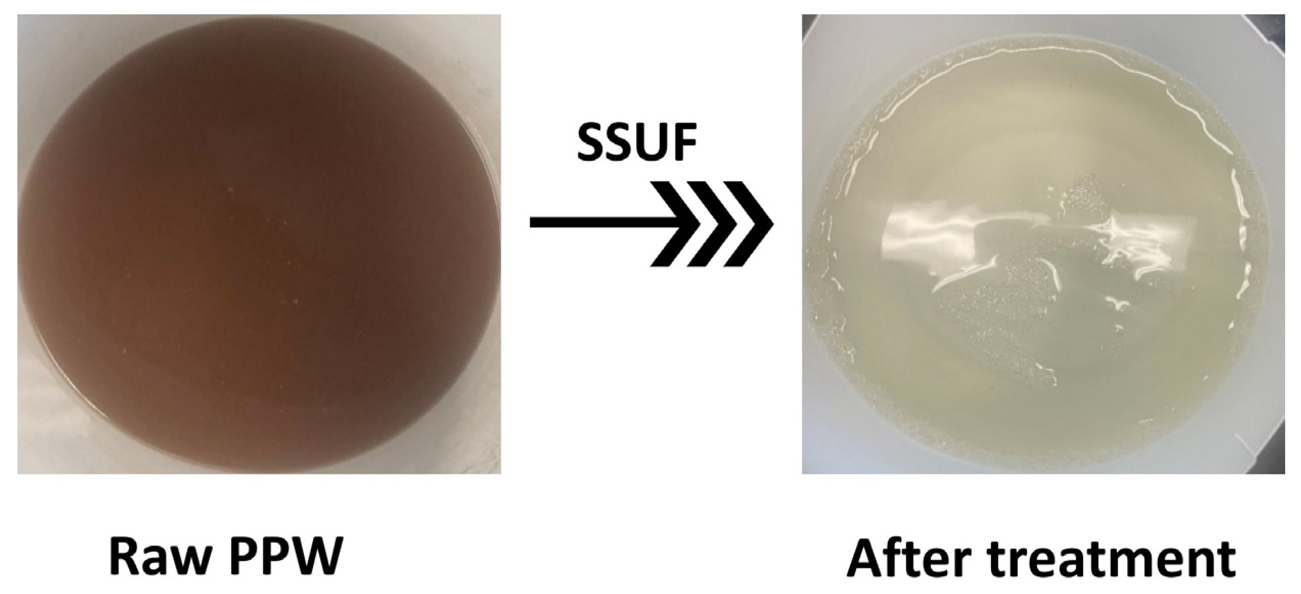 Membranes 13 00880 g006