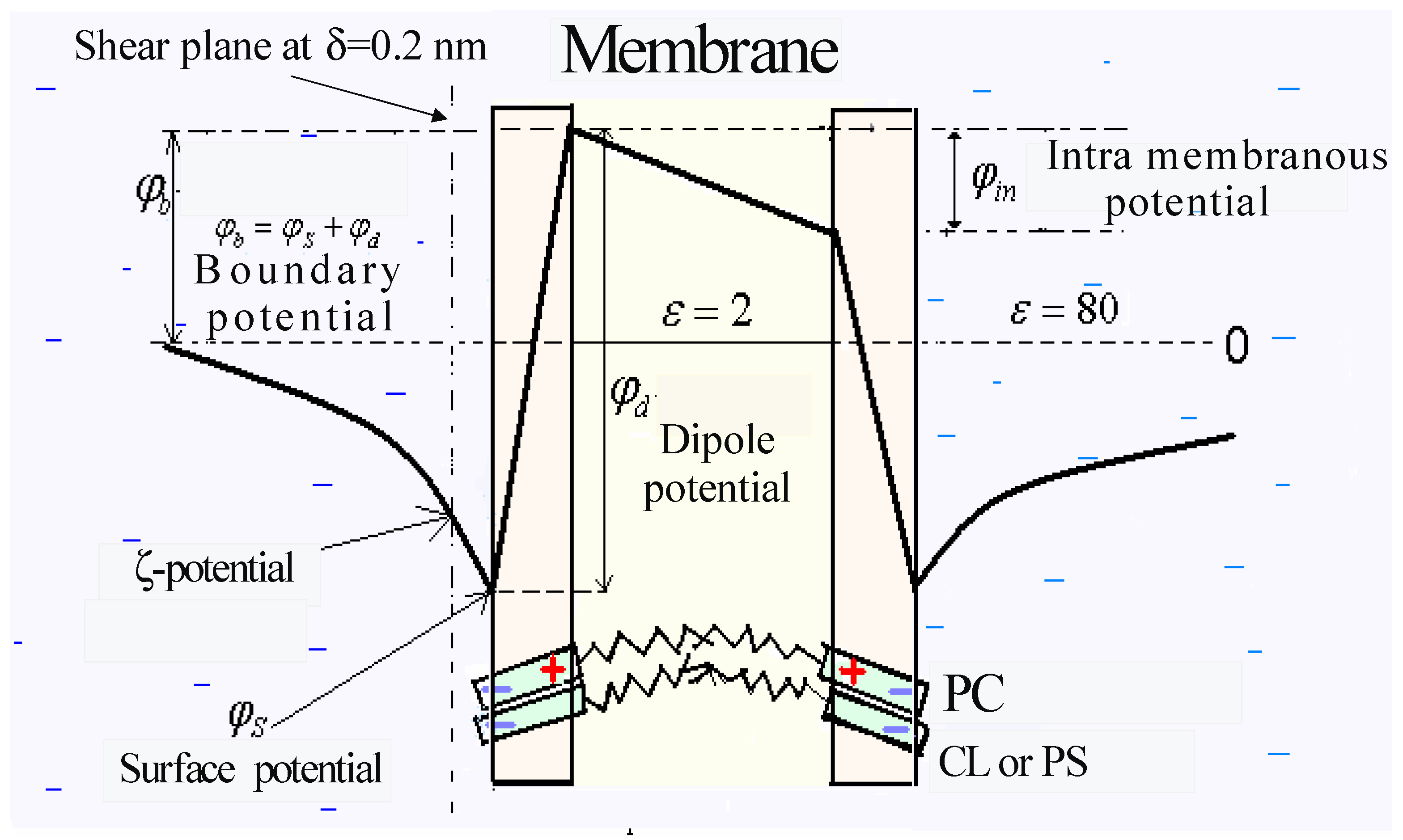 Membranes 13 00883 g001