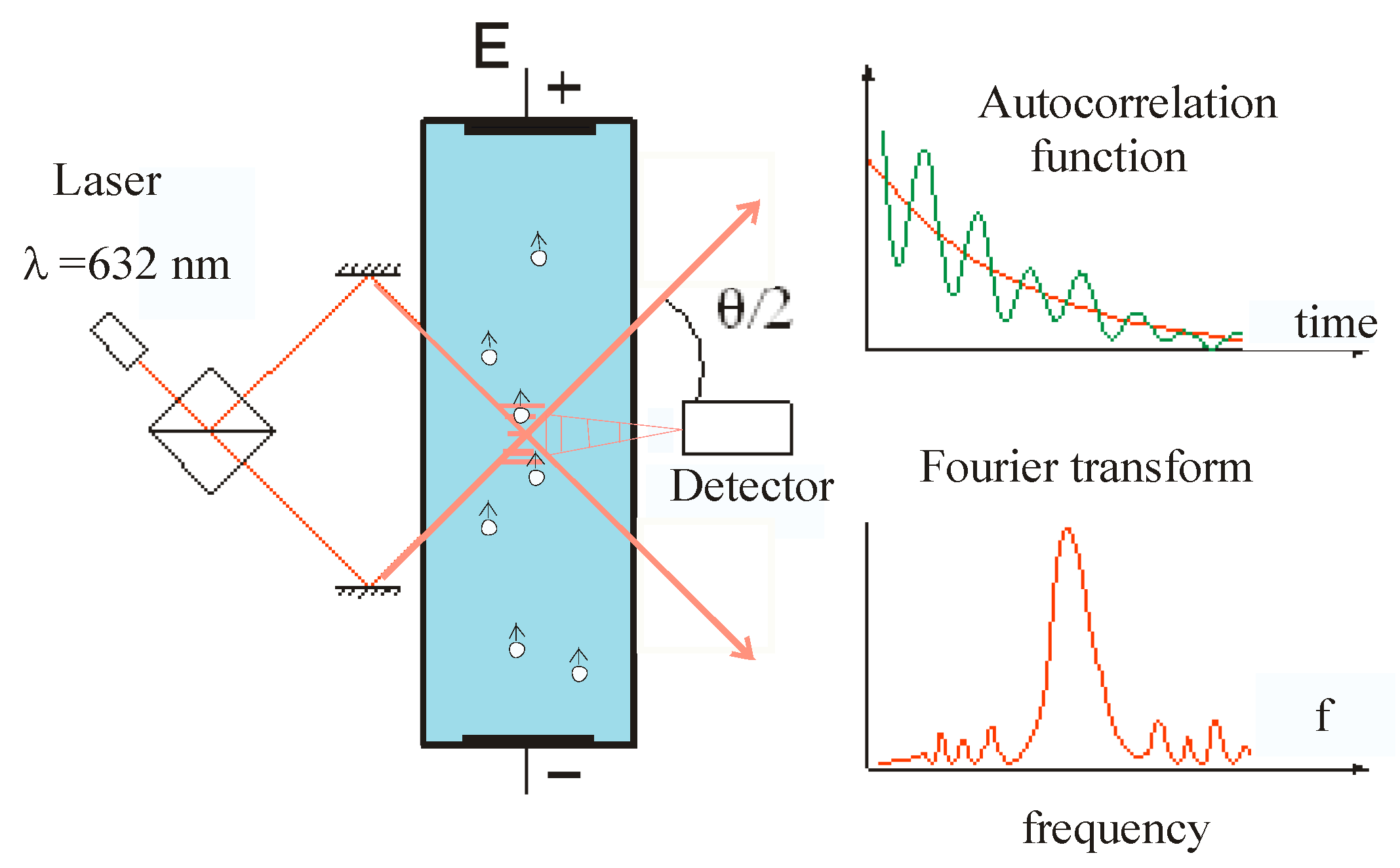 Membranes 13 00883 g002