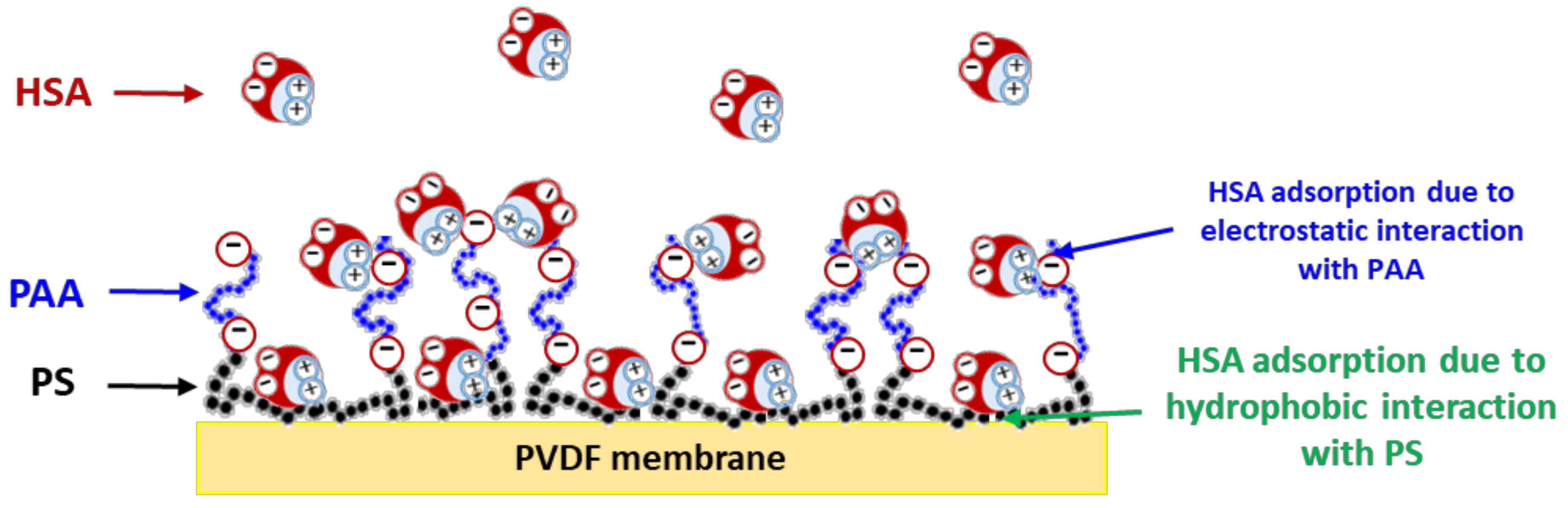Membranes 13 00886 g003