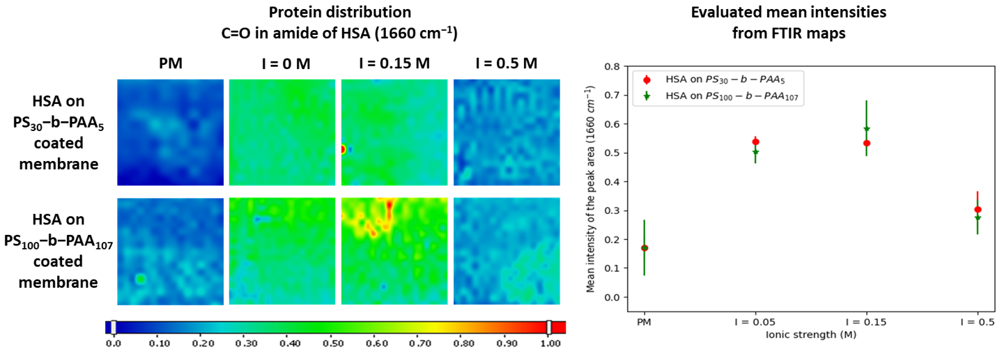 Membranes 13 00886 g005