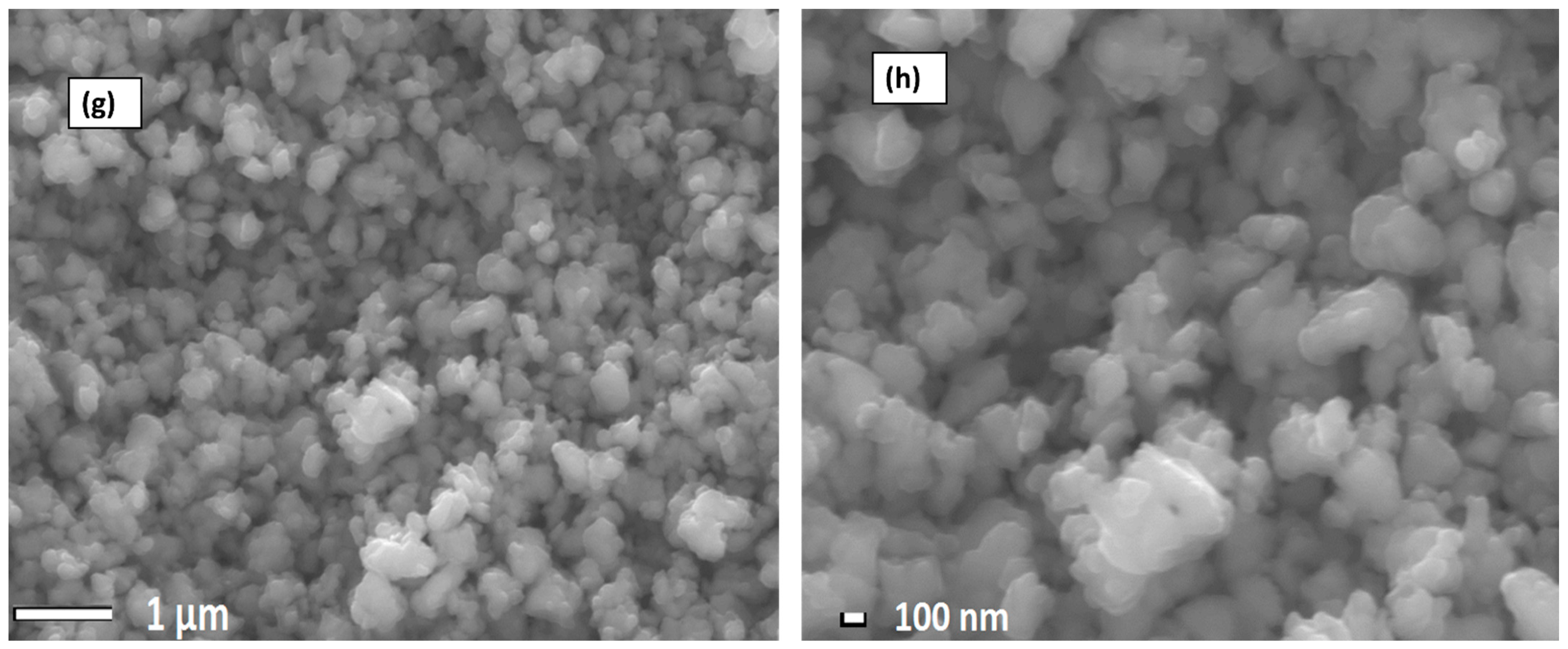 Membranes 13 00887 g003b
