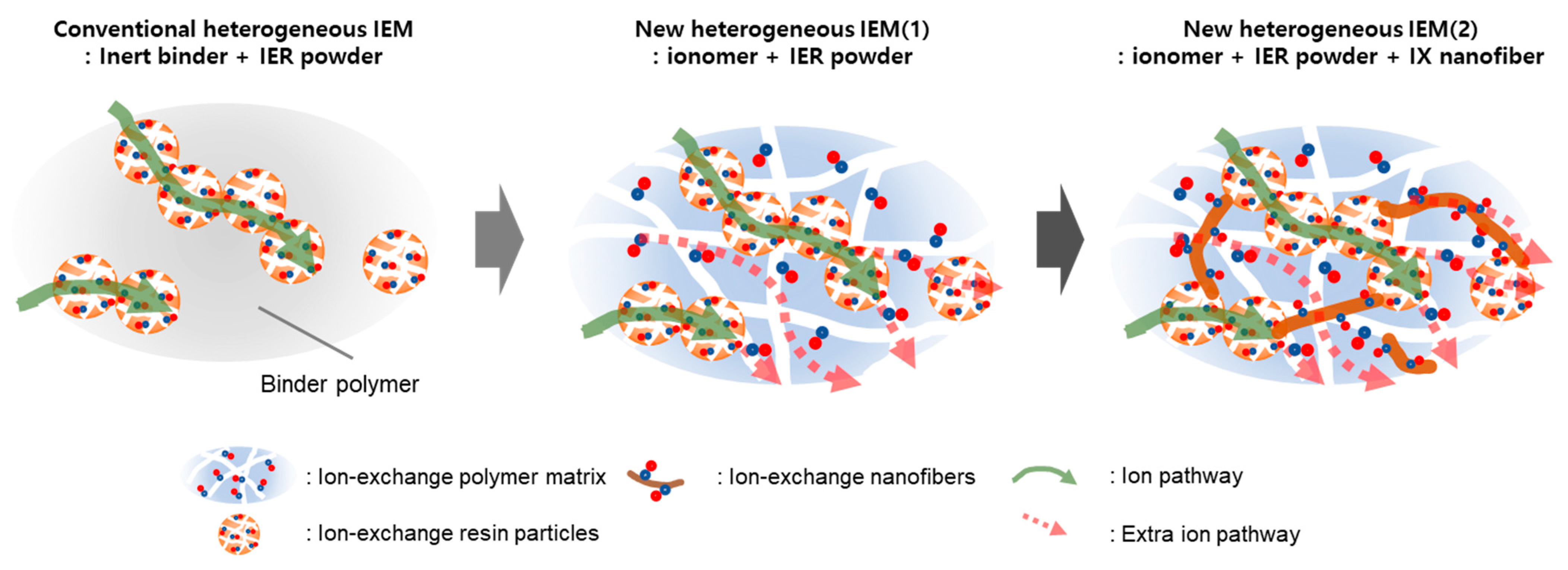 Membranes 13 00888 g001