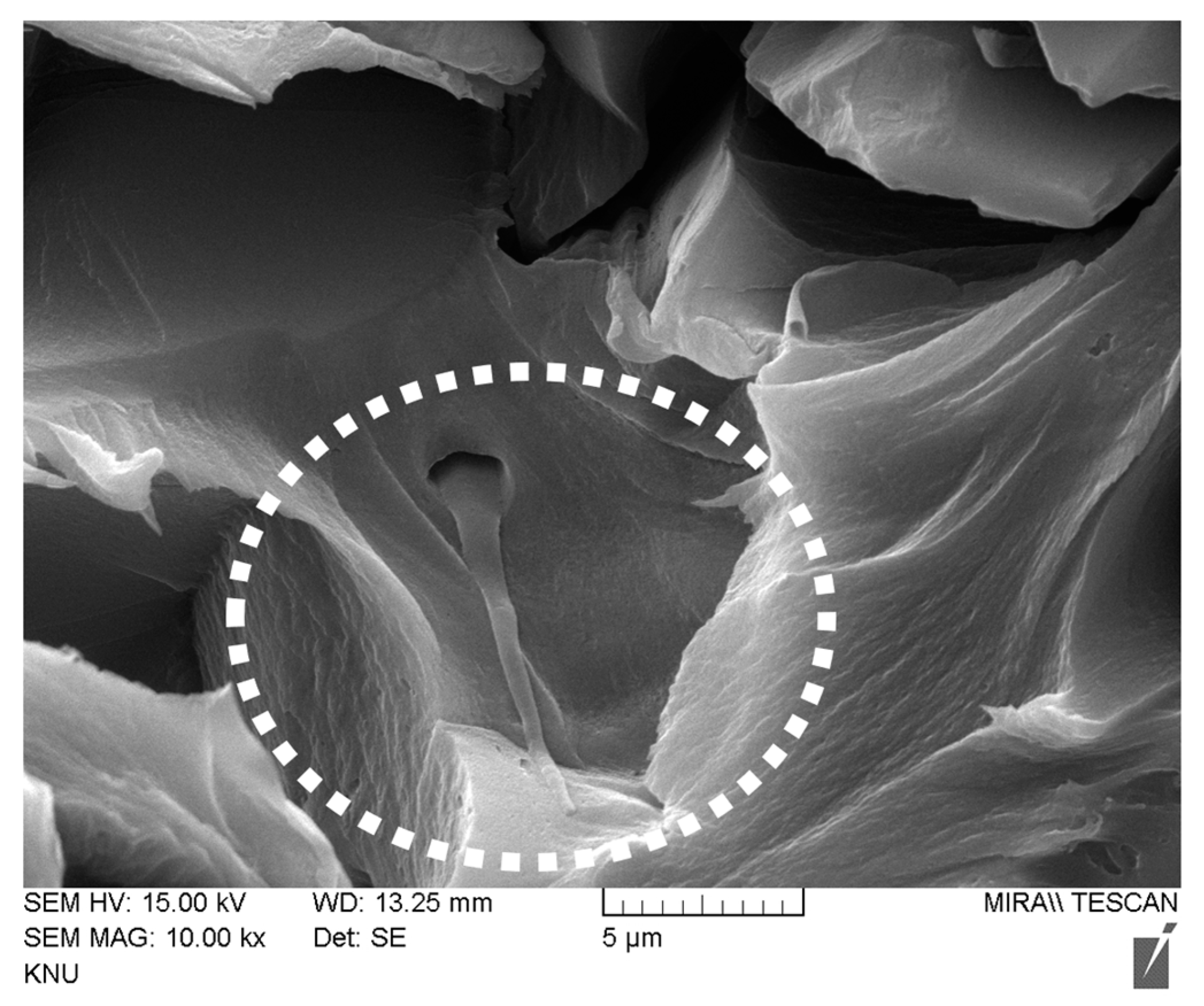 Membranes 13 00888 g010
