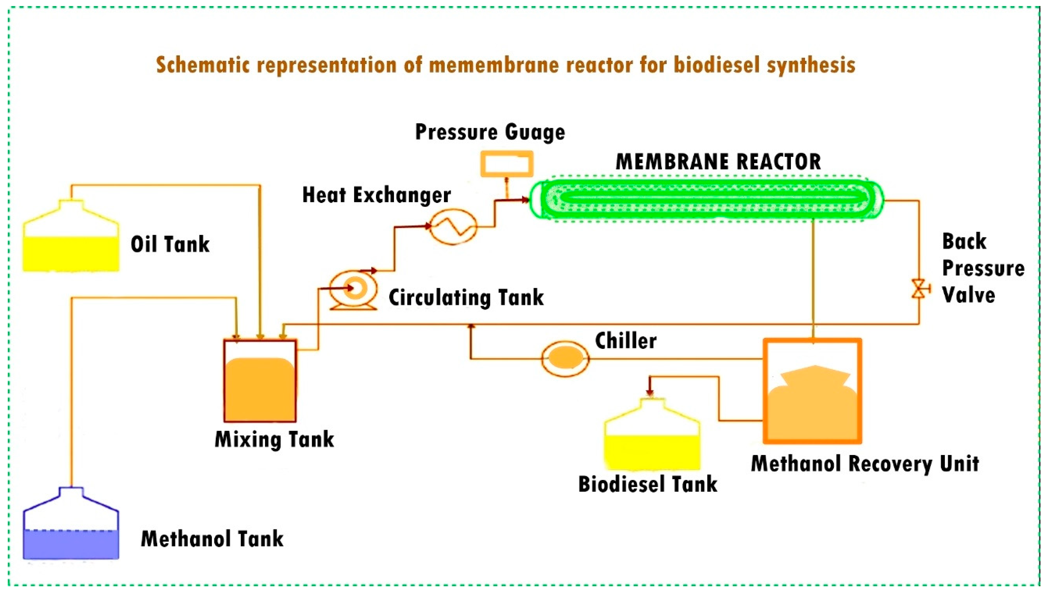 Membranes 13 00889 g001