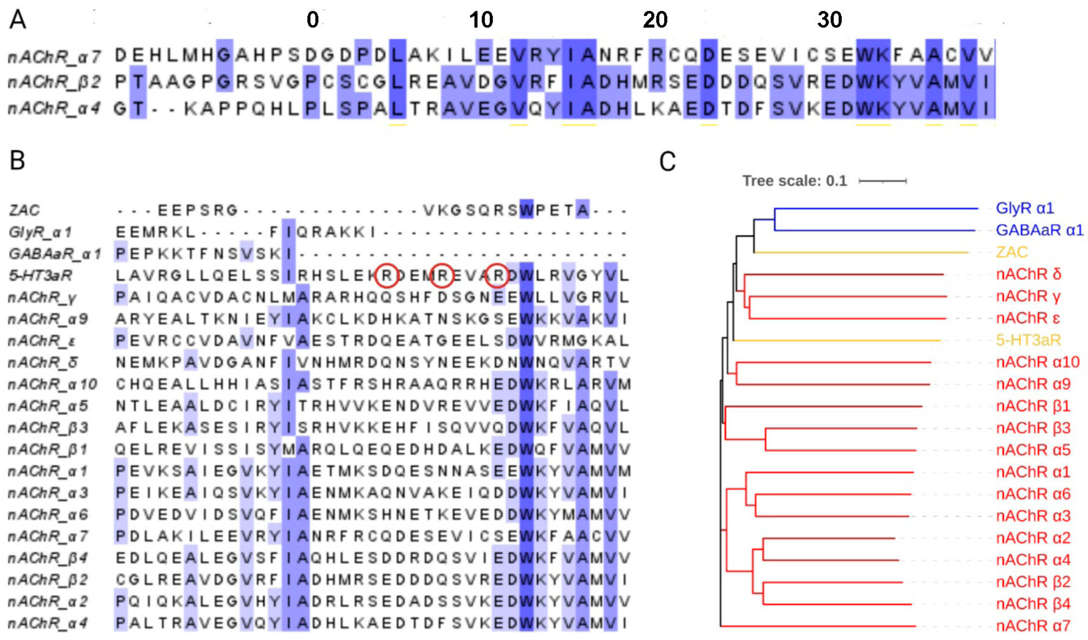 Membranes 13 00891 g002