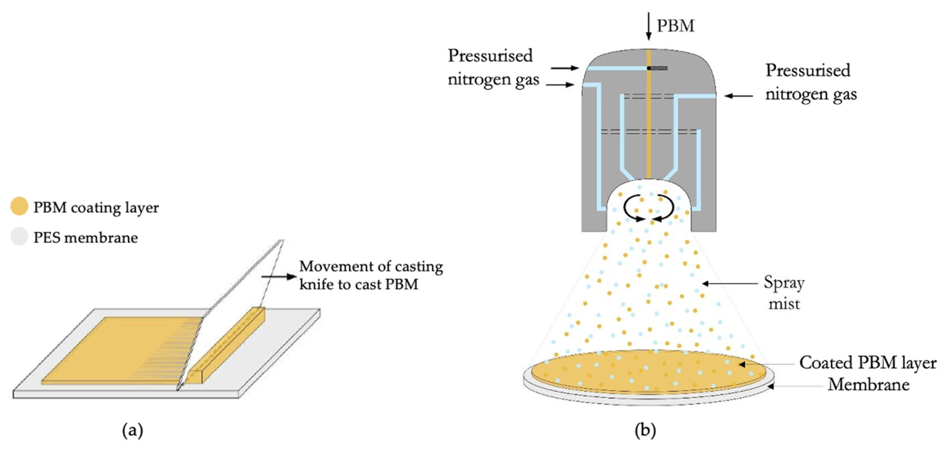 Membranes 13 00893 g002