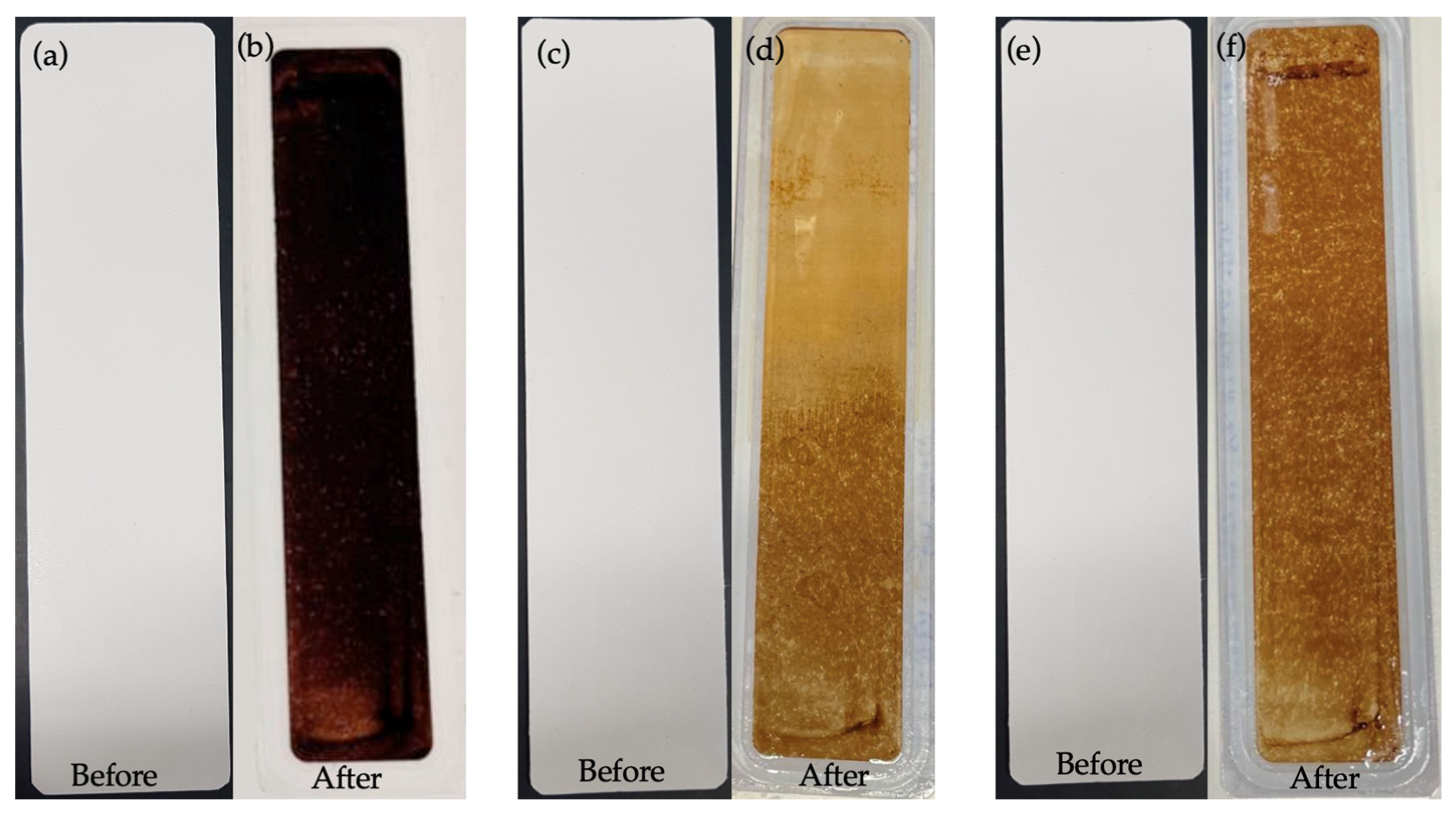 Membranes 13 00893 g008