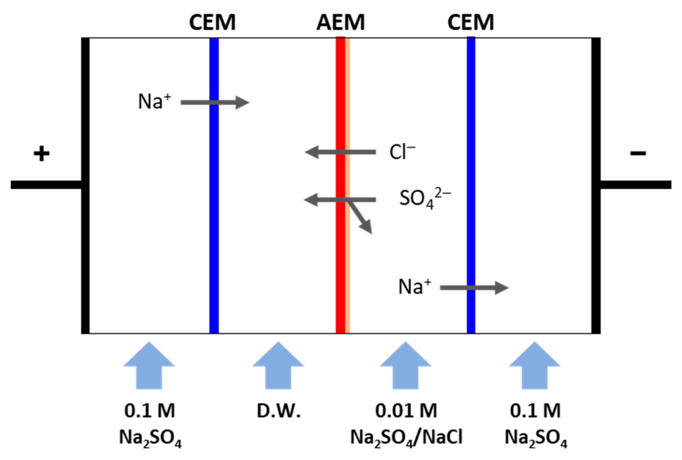 Membranes 13 00894 g004