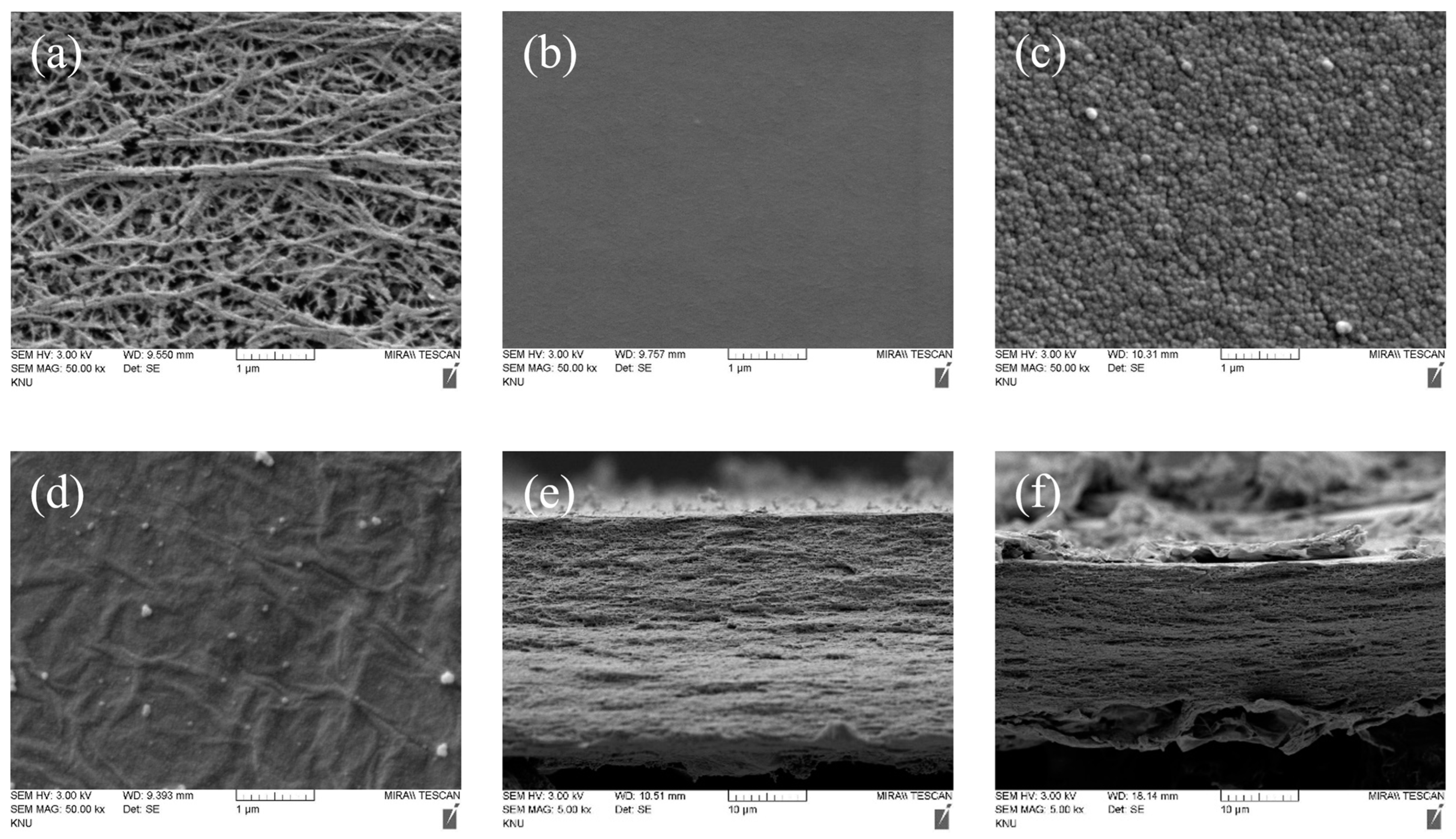 Membranes 13 00894 g007