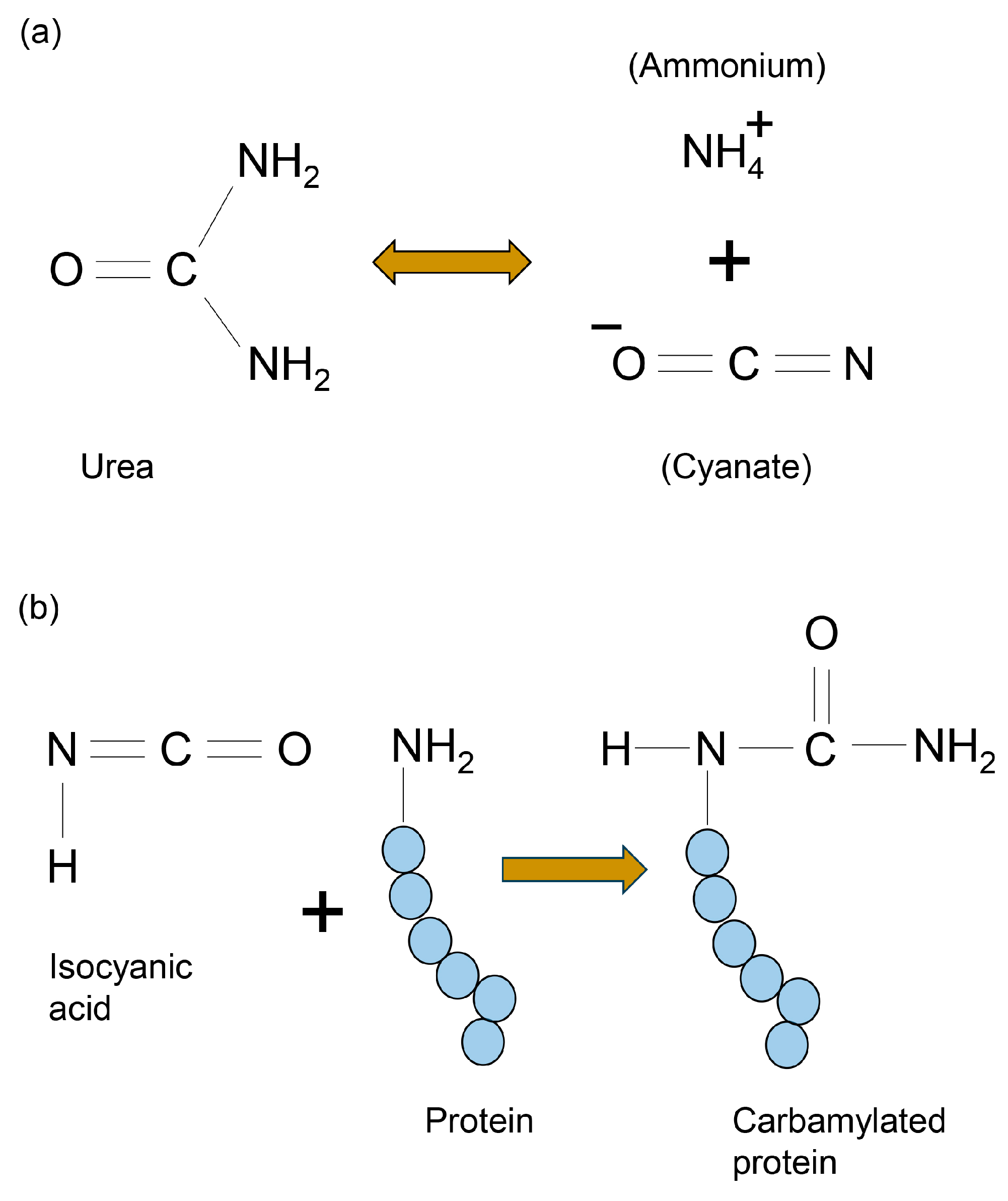 Membranes 13 00896 g003