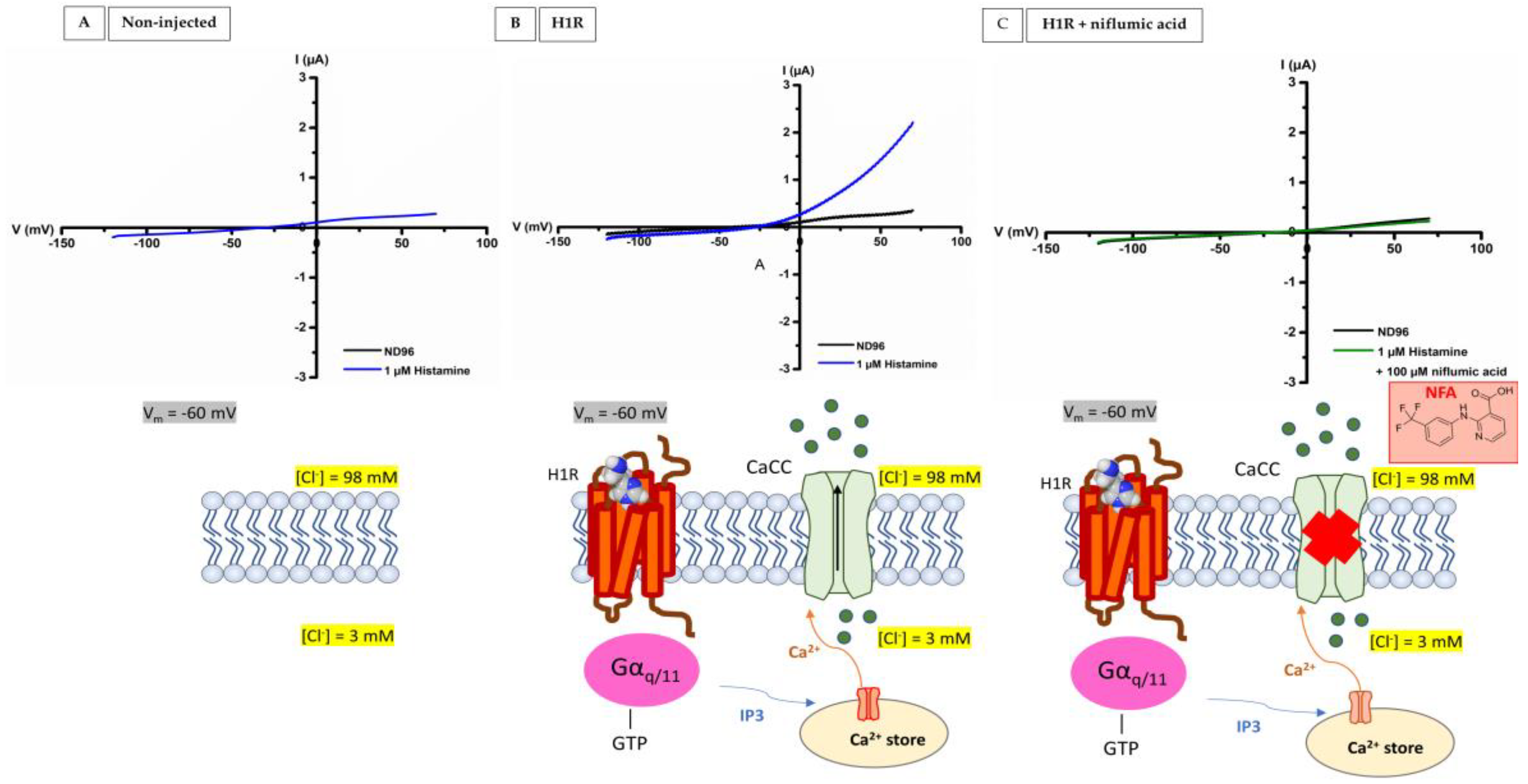 Membranes 13 00897 g003