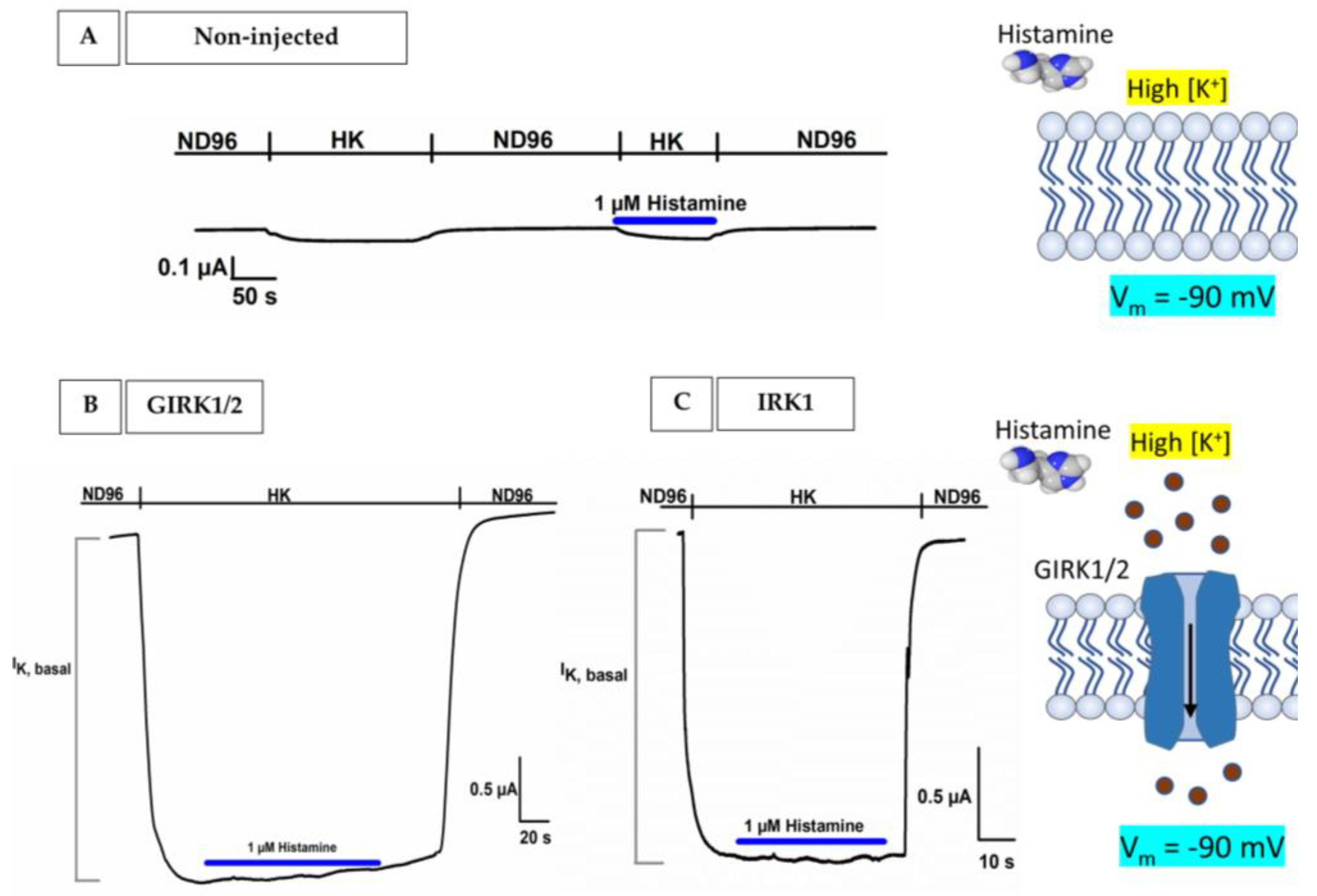 Membranes 13 00897 g004
